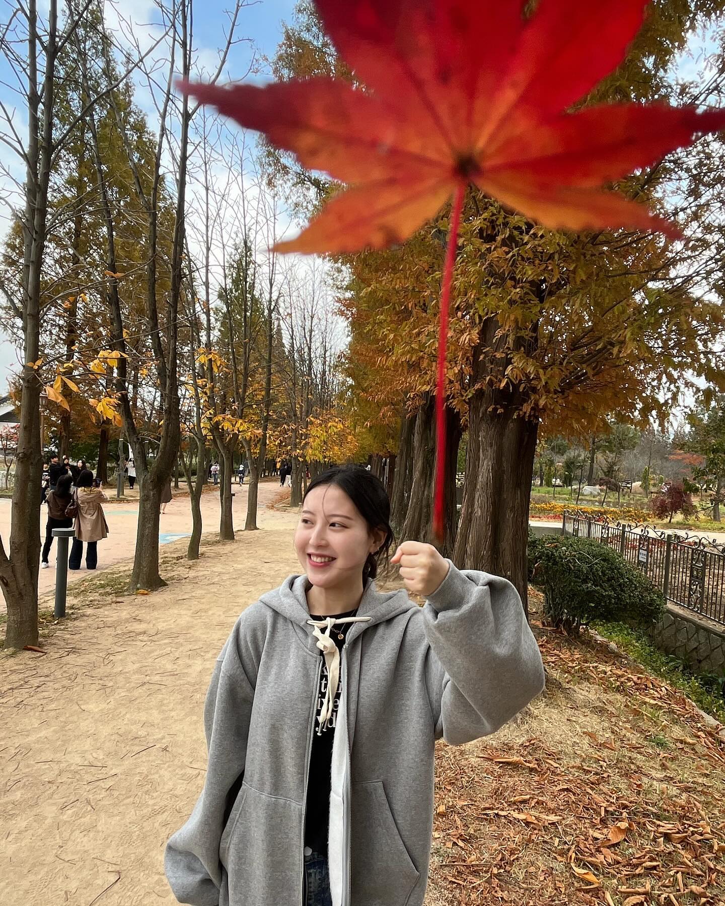 뱀, 벌, 김정기 조심~