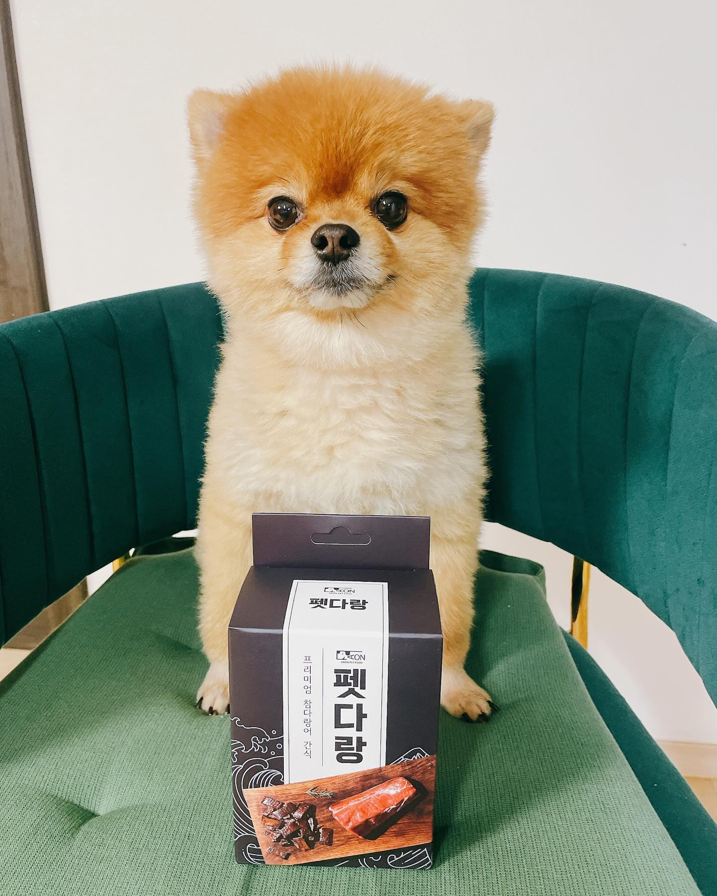 안녕 칭구들아💛
오늘은 다온펫푸드에서 강아지수제간식 펫다랑을 
선물해주셨어😊😊😊

펫다랑은 국내에서 전문가가 손수 가공하고 손질한 
생참치로 만든 프리미엄 참다랑어 강아지 간식이야!

일반적인 강아지 간식에는 돼지고기 소고기로 된 간식이 많은데 
과도한 육류섭취는 포화지방과 알레르기를 
일으킬 확률이  높다고 해😢

하지만 오늘 소개하는 펫다랑은 
✔️고단백으로 소고기보다도 월등한 단백질을 함유하고
✔️저칼로리 간식으로 비만견들의  다이어트에 도움을 줄 수 있고
✔️저지방간식이면수 오메가3를 다량 함유하여 
우리 강아지들의 건강에 도움을 줄 수 있어😚

참치 중에 최고인 참다랑어로 만들어 지고
신선함을 극대화하기 위해 어떠한 첨가물없이 
원물을 그대로 건조한 펫다랑으로 
우리 댕댕이들 간식도 건강하게 먹이쟈🫶

#업체로부터제공받은제품입니다 #강아지수제간식 #펫푸드 #애견수제간식 #강아지참치 #노견간식 #강아지보양식 #애견간식 #강아지단백질 #강아지다이어트 #강아지다이어트간식 #강아지다이어트방법 #다온펫푸드 daon_petfood