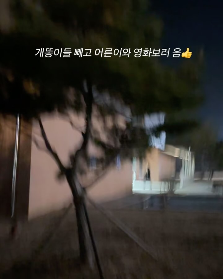#파묘 #나도봄 #횡성시네마

 팟! 하고 꽂히지 않는 이상 영화관 잘 안가는데
파묘는 꼭 보고싶었지 
흥미가 진진한 장르 ㅎㅎ

영화상영시간이 나에겐 상당히 어중간한 시간이라
개똥이들 간식 쥐어주고 어른이와 관람!

영화보고 나서 이야기하는 거 재미지다
이제 유튜브 봐도 될 듯 😊
