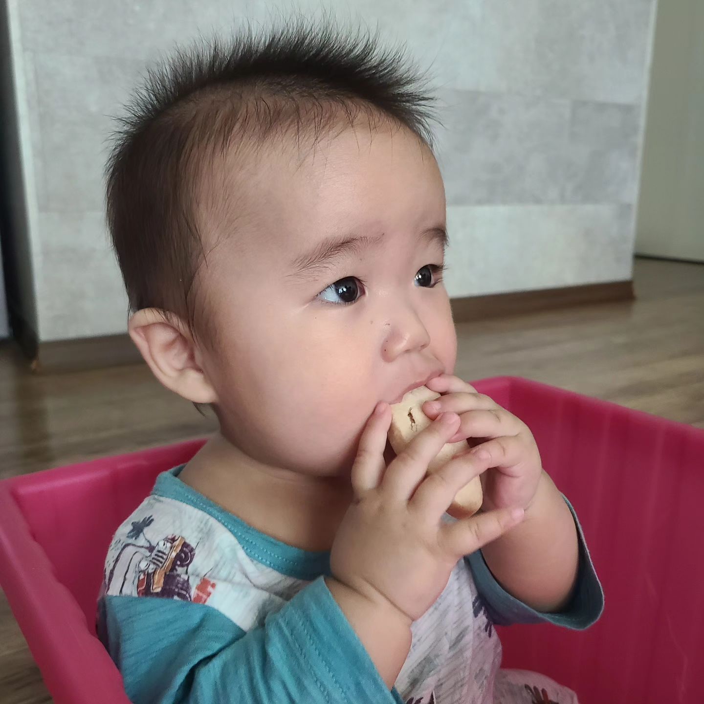 D+233일차 지훈이♡
귀염둥이 오늘도 집보러다녀옴
드디어..이사갈집구함...^^
애기랑여름에 이사갈집보러다니는거
정말어렵네여 ㅎㅎㅎ 기왕이면 봄이나
가을을 추천드려봅니다..

아가는0살인데 초품아로 가겠다는
유난엄마 ㅋㅋㅋㅋ ㅋㅋㅋㅋ 

사진한장 영상한장 못찍었네ㅠㅜ
내일많이찍자 지훈아...♡♡♡

#흑토끼띠아기🐰🥕 #흑토끼띠맘🐰❤️ #먹방꿈나무🐷
