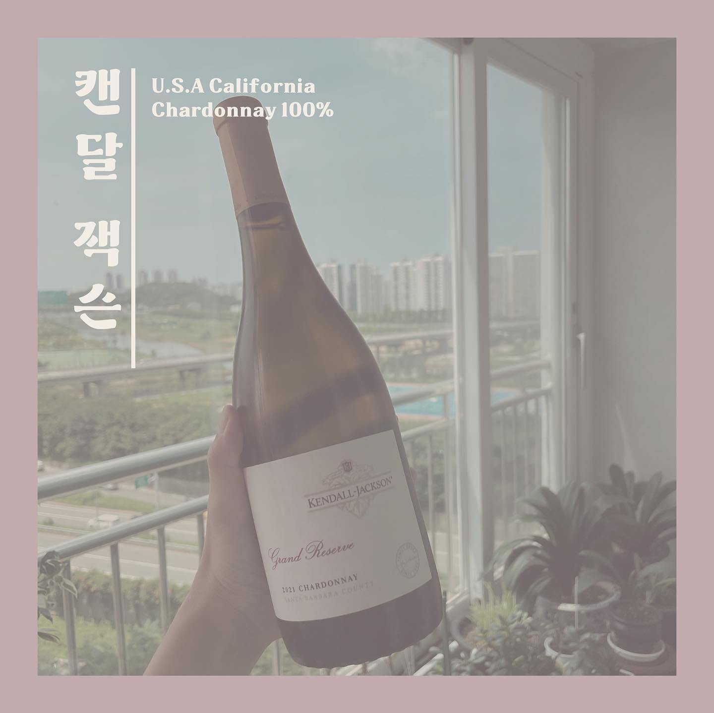 #광고 #캔달잭슨
호불호가 0으로 수렴하는
샤도네이 한 병 추천드립니다🥂
 
바로 그 유명한 캔달잭슨 #그랑리저브샤도네이
요즘같이 무덥고 축축 처지는 날씨에
바짝 텐션 UP👆하기에 딱 이에요!
 
상큼한 레몬과 파인애플, 사과향은 물론
진득한 버터와 바닐라 터치까지
한방에 즐길 수 있는 기특한 와인이죠💛
 
최근 마신 화이트 와인 중 단연 1등!
밸런스가 잘 잡혀있어 한 병을 비울 때까지
질리는 법이 없답니다 😍
 
황금빛 컬러만 봐도
가슴이 설레지 않나요?
 
무시무시한 더위,
시원한 샤도네이 한 잔으로
상큼하게 이겨내보자구요🧊
 
🍷 캔달 잭슨 그랑 리저브 샤도네이 2021
✔ 지역 : 미국 캘리포니아
✔ 와이너리 : 캔달 잭슨
✔ 품종 : 샤르도네 100%
📍 향 노트 : 버터, 바닐라, 레몬, 파인애플, 사과

kjwines.kr 
 
*지나친 음주는 뇌졸중, 기억력 손상이나 치매를 유발합니다. 임신 중 음주는 기형아 출생 위험을 높입니다.
 
#와인 #와인추천 #와인러버 #와인리뷰 #샤도네이 #샤르도네 #KendallJackson #그랑리저브샤르도네