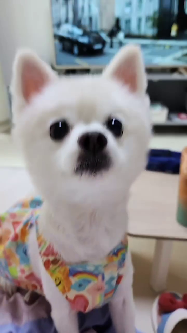 콘텐츠