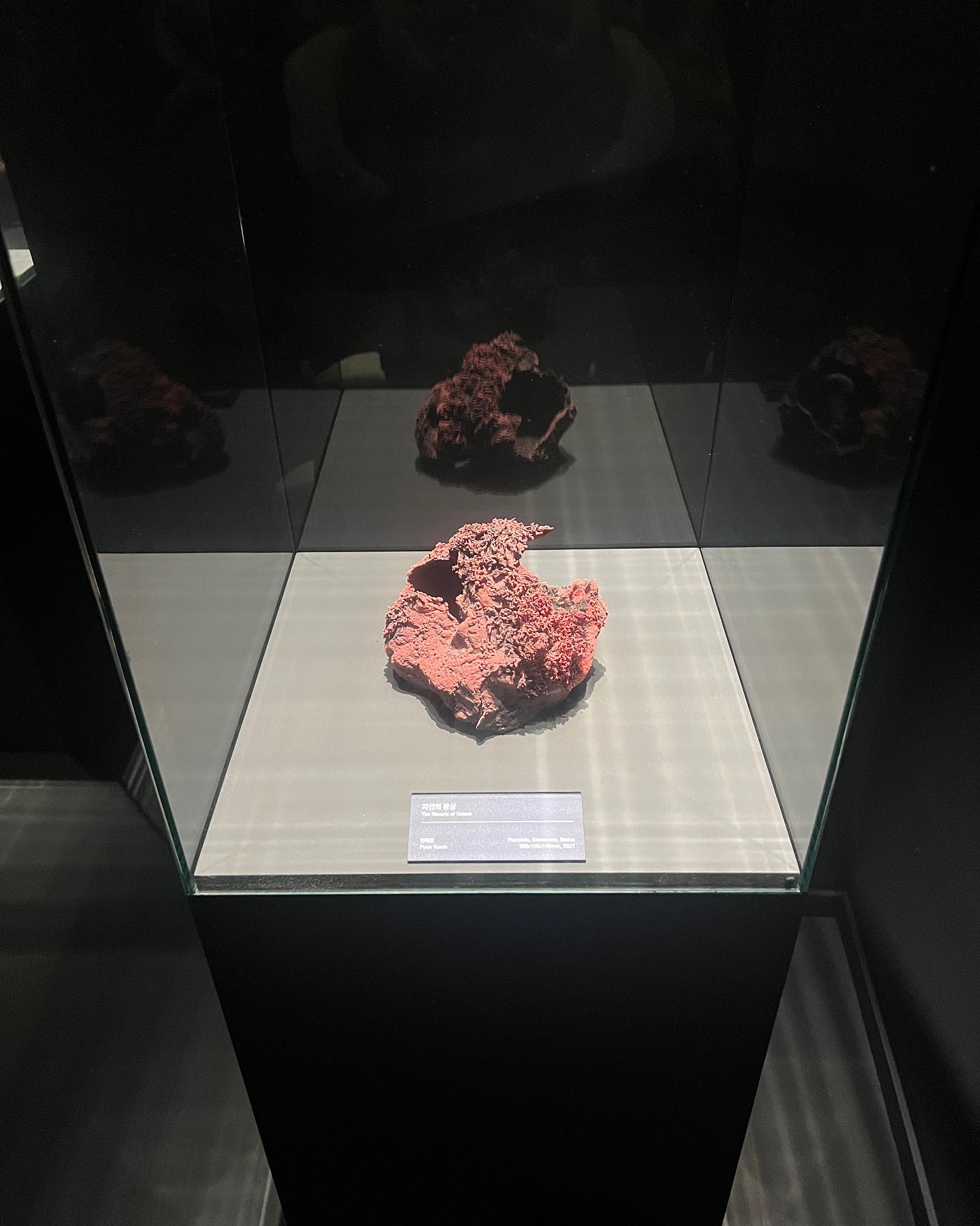 콘텐츠
