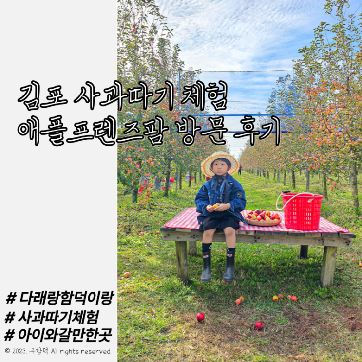 김포 사과따기 체험 애플프렌즈팜 미니사과체험 내돈내산 후기