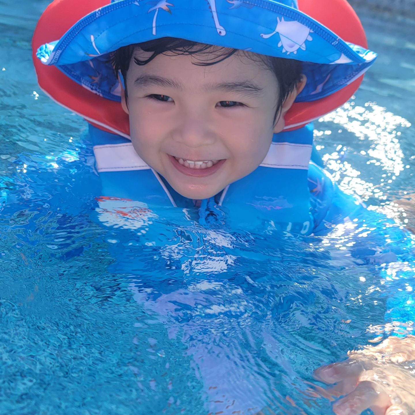 시온할아버지생신이라 제주 😍😍
돌고래투어가서 돌고래 찍긴했는데 넘작아 안보이네 ㅡㅡa
.
.
.
#제주 #현무암케이크
#신화리조트
#돌고래투어 
#시온e 
#시온맘 #육아소통