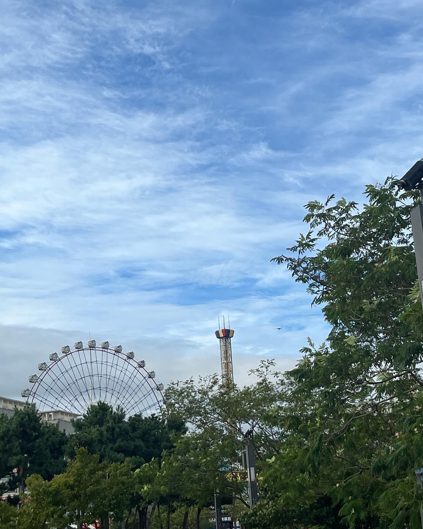 #초보운전
당 진 for H사심사
진 짜 멀다