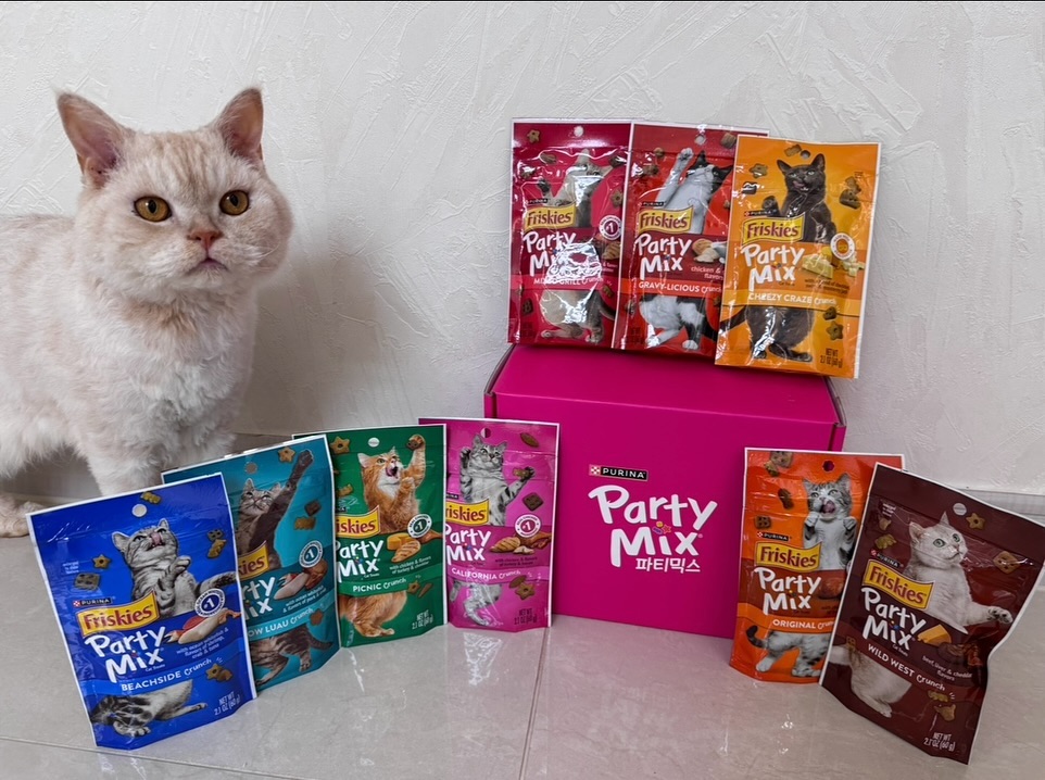 #제품제공 #체험단
퓨리나(purina_kr )에서 파티믹스를 보내주셨어요🥳
파티믹스는 두둘콩이 평소 즐겨먹는 간식중 하나인데요
이번에 새롭게 리뉴얼되서 출시한 파티믹스입니다!
간식 뜯자마자 아기새처럼 받아먹는 두둘콩🤣
너무 귀여워...😳

퓨리나 파티믹스는요!

✔9가지 다양한맛 구성

퓨리나 파티믹스는 총 9가지맛으로
고양이 취향에따라 골라서 먹일수있어요.

▫오리지날(순살 닭고기, 간 & 칠면조)
▫비치사이드(참치와 새우 & 게살)
▫피크닉(순살닭고기, 칠면조 & 체다치즈)
▫미야오(바다 흰살 생선과 돼지고기 & 게맛)
▫캘리포니아(순살닭고기와 베이컨 & 칠면조)
▫믹스그릴(순살 닭고기,소고기 & 연어)
▫와일드 카우보이(소고기, 간, 체다치즈)
▫치즈 크레이지(체다, 스위스, 몬트레이 잭 치즈)
▫치킨 그레이비(닭고기와 육즙소스)

두둘콩은 9가지 다 잘먹어요.ㅋㅋ

✔가벼운 칼로리

한알당 1.6kcal미만으로 되어있어
가볍게 즐길수있는 간식으로 
다이어트중인 고양이들에게도 딱이에요.

저는 약을먹이거나 미용, 발톱깎은뒤에
보상으로 몇알씩 주고있는데 너무 좋더라고요.

✔4가지 모양의 키블

여러가지맛과 다양한 모양의 키블로
고양이의 스트레스 해소와
치아건강에 도움을 주는 간식이에요.

✔균형잡힌 영양 간식

미국사료협회 AAFCO 성묘용
주식영양 수준을 충족시키는 영양 간식이에요.

저는 원래 츄르를 많이 먹였었는데
이런 고양이 과자같은 간식도 너무 좋은것같아요.
기호성 좋은 고양이 간식 찾으시는 집사님들
퓨리나 파티믹스 추천이용:)

#네슬레퓨리나 #퓨리나 #퓨리나파티믹스 #파티믹스 #이구역파티캣 #고양이간식추천