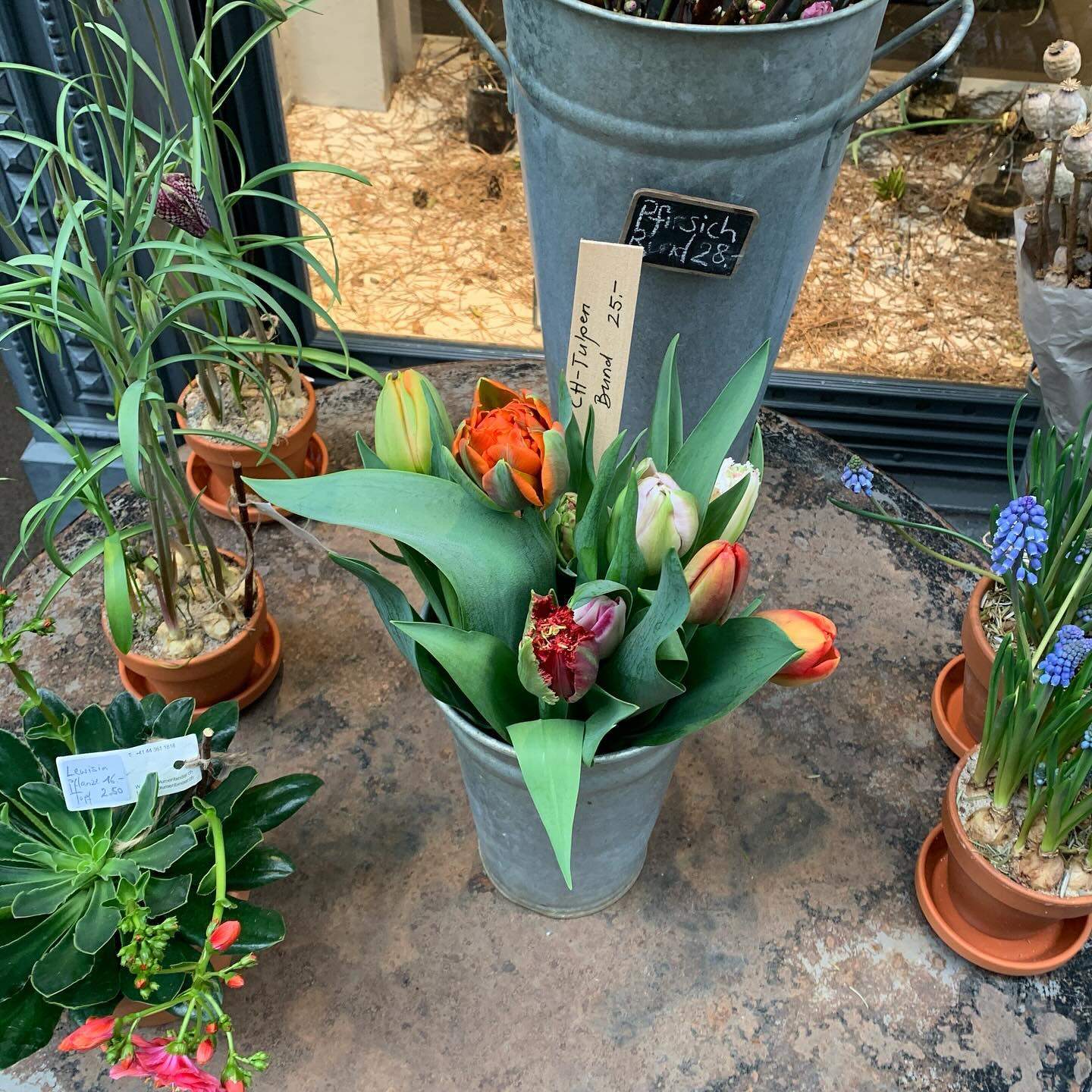 🌷🇨🇭