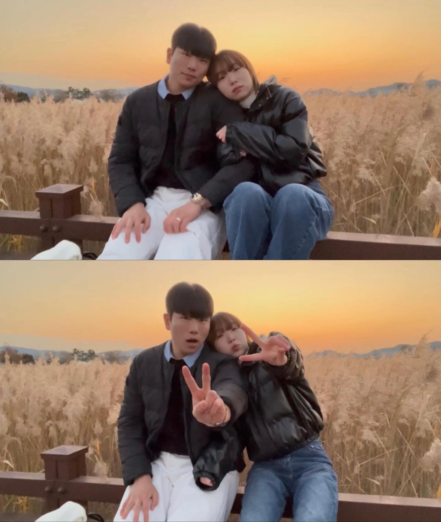 콘텐츠