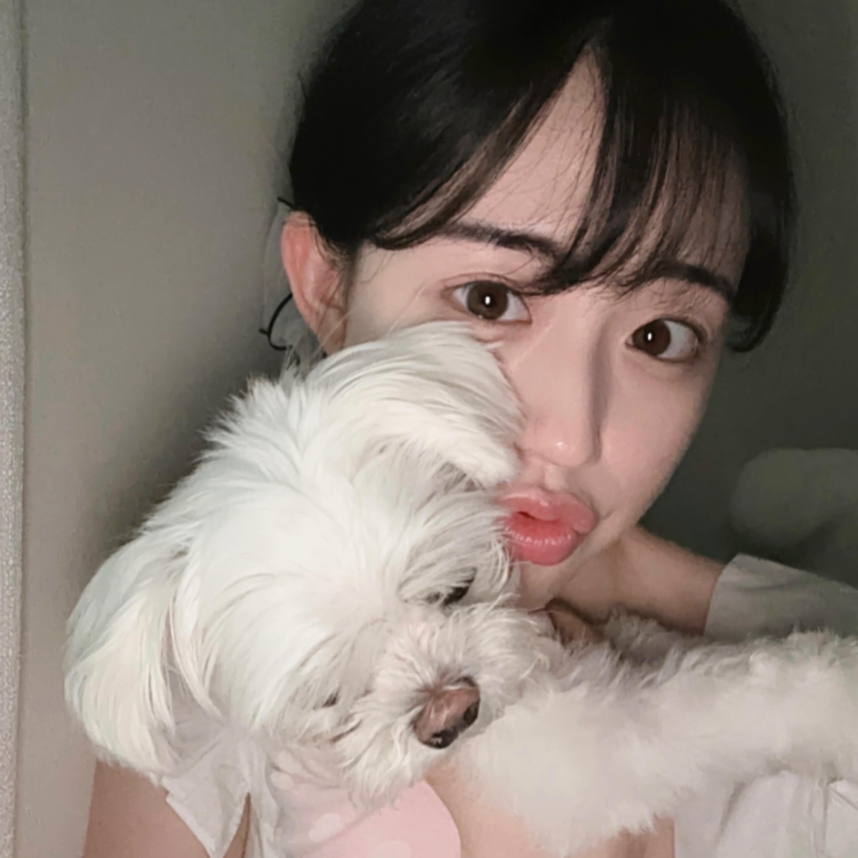 거의 뭐 생존신고