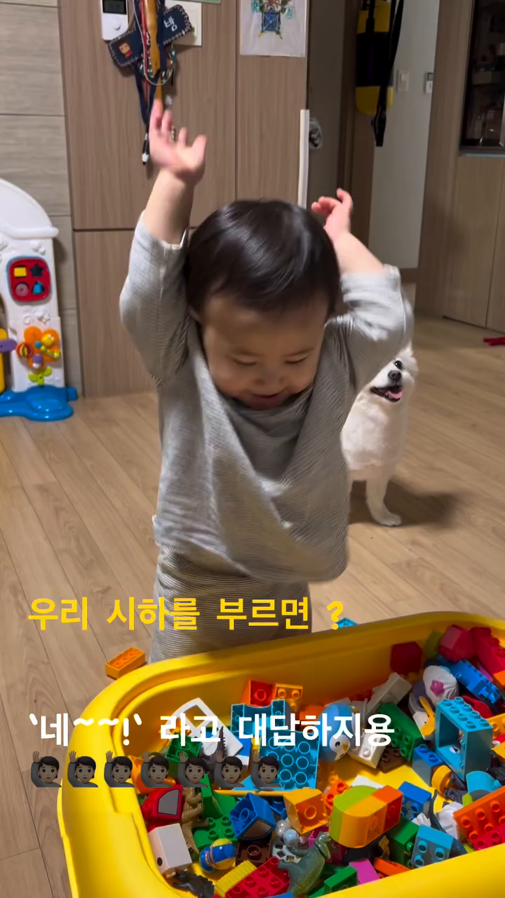 #14개월아기 #돌쟁이 #아들맘 #아기스타그램 #애개육아 #육아소통 #맞팔 #아기모델 #개구장이 #재주꾼
