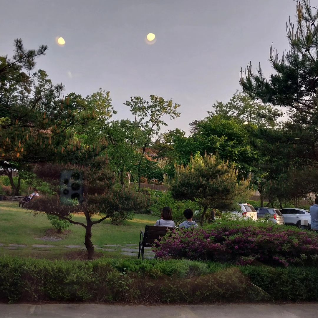 공원일까요?
카페일까요?
아님 경양식레스토랑?
아니요 여기는, 
#153포인츠부대찌개 👍

#153포인츠 #부대찌개맛집 
#처인구맛집 #용인맛집