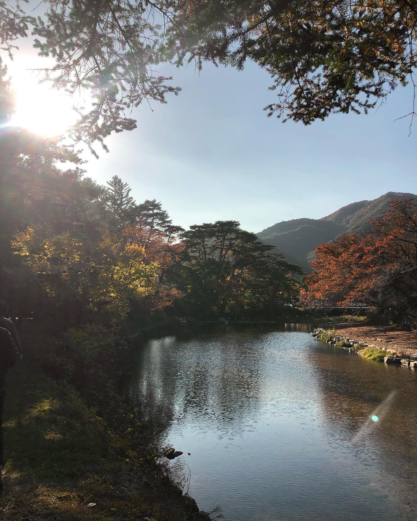 단풍🍂구경 즐거웡🍁🫠