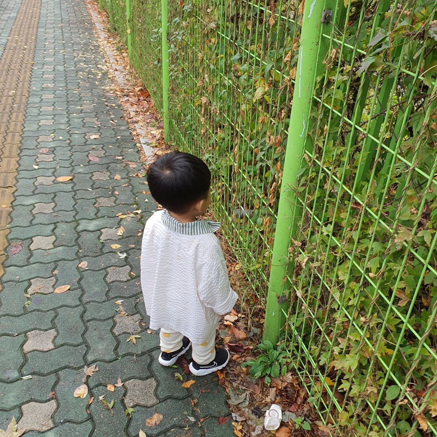 아가옷 무나하면서
아가랑 산책도함 ㅎㅎ

돌치레하는가보다 열이좀있네😢
그래도 컨디션 쵝오라서 맘은편햄