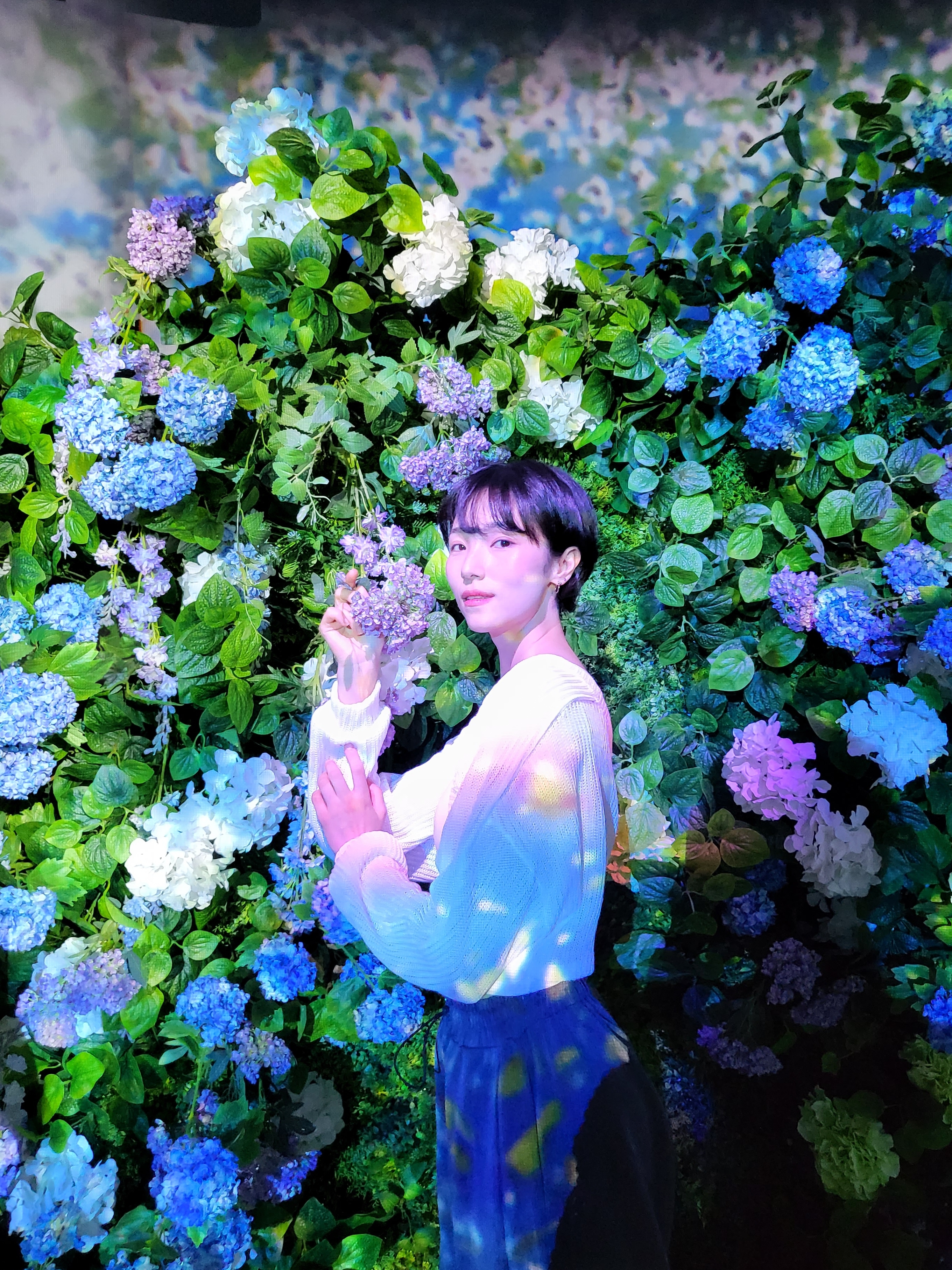 콘텐츠