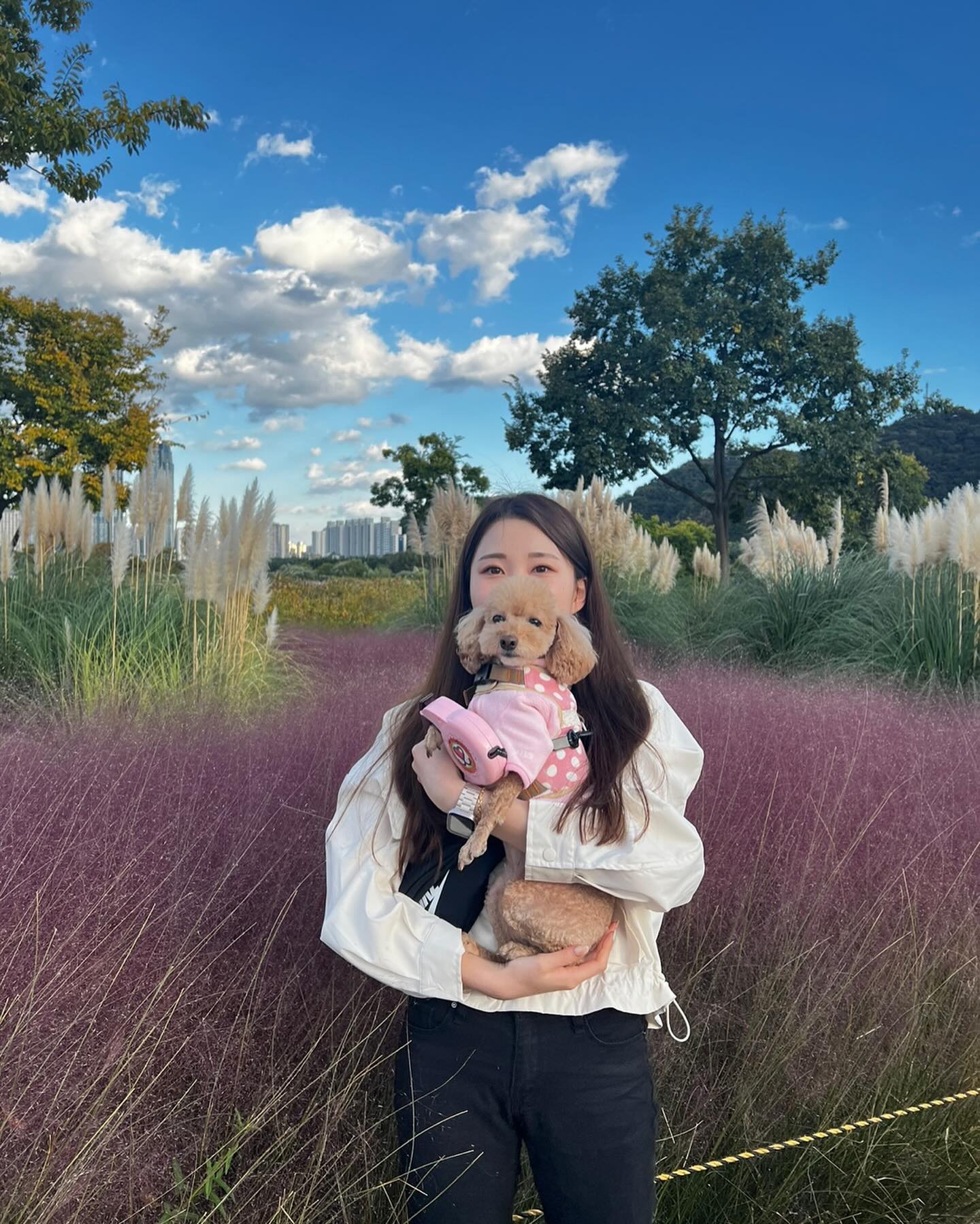 뒤늦은 #핑크뮬리 
울산에도 이런 곳이 있었따니!!! ⠀
⠀
⠀
⠀
⠀
#강아지 #강아지일상 #강아지스타그램 #강아지그램 #핑크뮬리🌸 #울산 #울산가볼만한곳 #울산데이트 #태화강국가정원 #태화강대공원