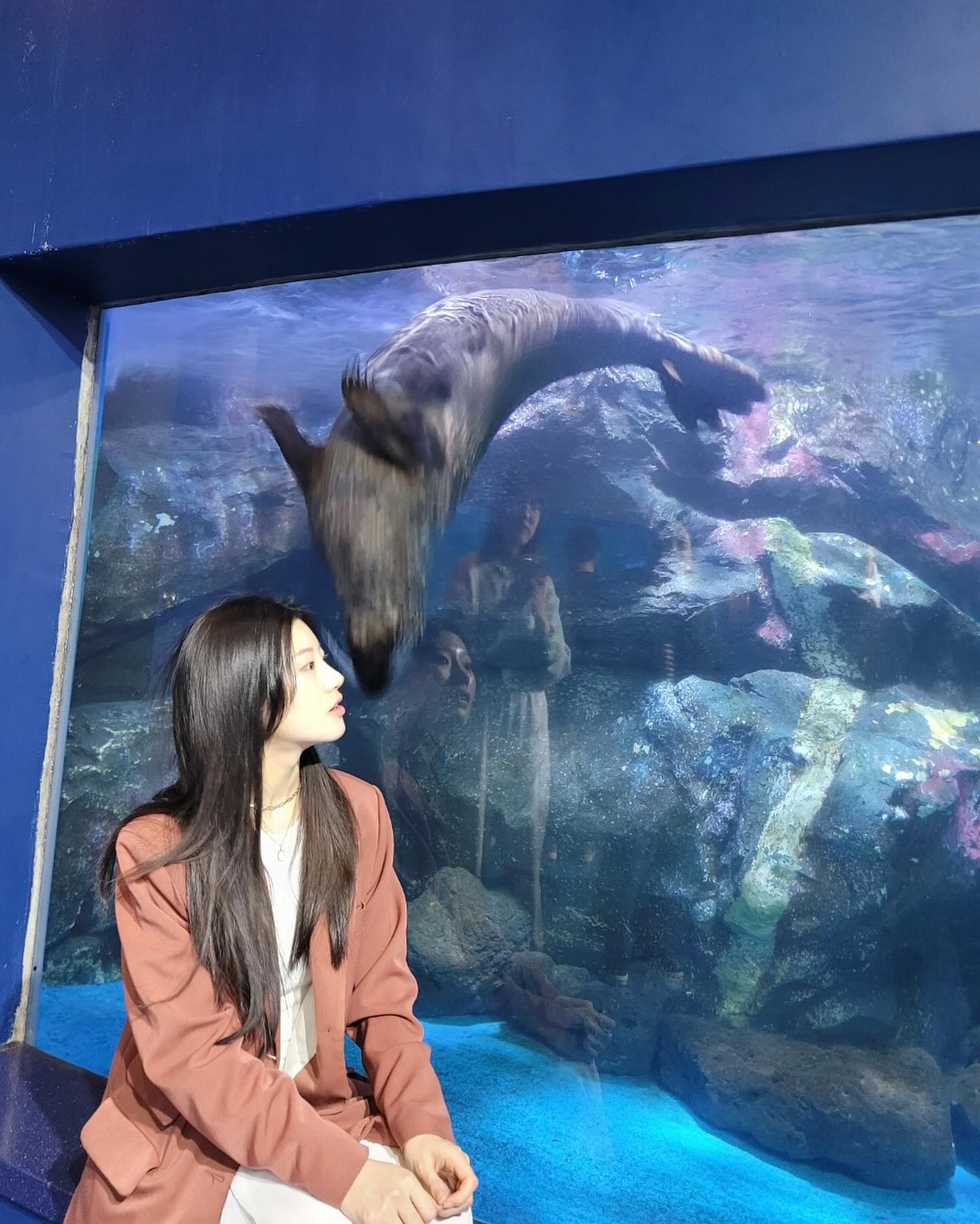 콘텐츠