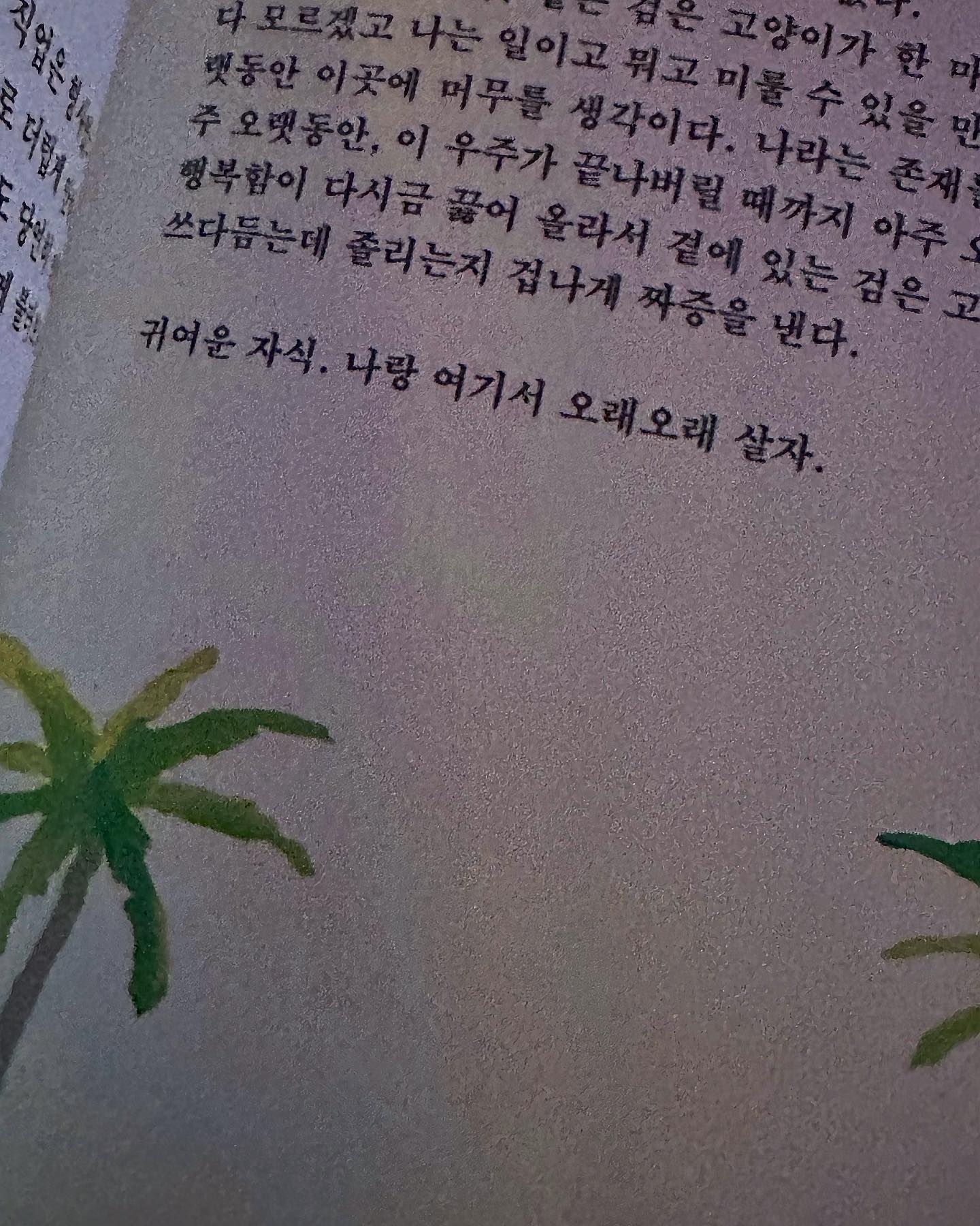 귀여운 자식