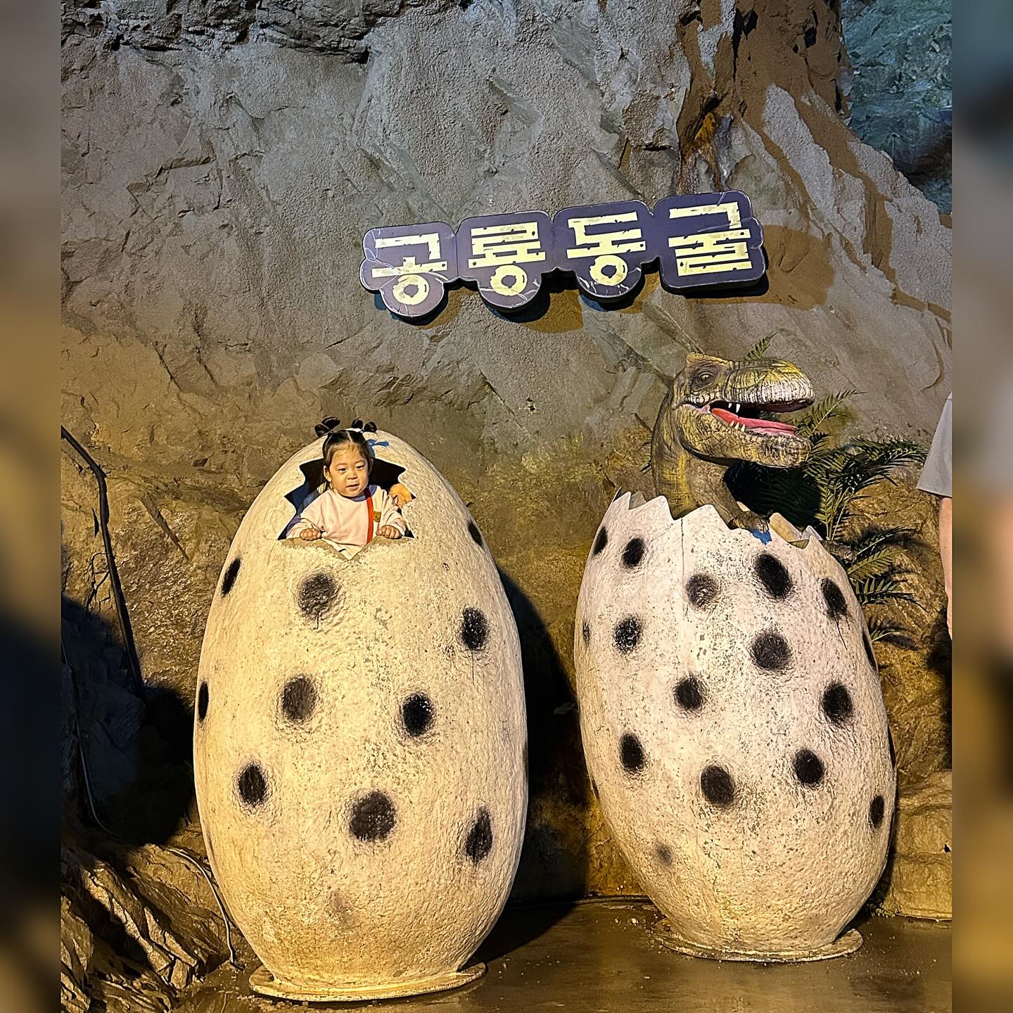 5월에도 부산가서 놀다오고 한달만인 6월 7~9일에 또 찾아간 부산 신랑친구네 모임이에용✨

부산으로 넘어 가기 전 울산에 있는 자수정 동굴에 들렀다가 구경을 하고 갔어요

주변 사람들이 뱃속에 아기도 있는데 어떻게 부산까지 다녀 오냐고 놀랐지만 고위험군 산모가 아니기도 하고 체력 하나는 남부럽지 않기 때문에 가능했던 것 같아요 ㅎ̆̎ㅎ̆̎
사실 신랑이 운전해서 다녀온거라 저는 앉아만 있으면 되요 ٩̋(ˊᵒ̴̶̷̤ ꇴ ᵒ̴̶̷̤ˋ)و
(걱정해 주시는 많은 분들 감사합니다❣️)

저때는 완전 한여름이 아니어서 그런지 꽤 쌀쌀하게 느껴져서 긴팔, 긴바지를 입고 다녔네용

각종 조명과 조형물들이 많이 있고 테마별로 되어있어서 이것저것 구경하기에 좋았어요 ( *ฅ́˘ฅ̀*) 

시설이 조금 노후화되고 파손된 부분이 있어서 좀 아쉽긴 했지만 전반적으로는 좋았어요!🩷
자수정 동굴 전반적인 것을 구경할 수 있는 줄 알고 배를 탔는데 사실 그냥 걸어 다니면서 볼 수 있는 것들을 배타고 한번 더 본 느낌이라 아주 새롭거나 또 타고 싶은 생각은 들지 않았어요😭

여러 가지 아쉬움은 있었지만 저는 개인적으로 돌아다니고 구경 하는 것들을 좋아해서 좋은 경험이 되었어요🥰

마지막 영상에 서아가 초식공룡은 좋아해도 육식공룡이나 움직이는 커다란 공룡 조형물은 무서워 하는데 아무렇지도 않게 보여 주고 싶어서 다가갔는데 꽤 무서웠는지 울고 불고 하는 것까지 영상을 남겼네요🤣

놀린 것은 미안하지만 너무 귀여워서 피드 박제🫶
엄마 구해준다고 뛰어 오는 것도 정말 사랑스러웠어요ღ’ᴗ‘ღ 

당분간 부산까지는 가기 멀어서 가기 어렵겠지만ㅠㅠ 그래도 출산전 마지막 장거리 여행인것 같아 실컷 즐기고 놀다 왔네요
.
.
.
.
.
.
.
.
.
.
.
.
.
.
.
.
.
.
.
.
#울산 #부산 #울산자수정동굴 #공룡동굴 #동굴 #동굴체험 #36개월딸 #36개월아기 #37개월아기 #엄마의장난 #미안하다사랑한다 #가족여행 #신랑친구모임 #여행스타그램 #추억스타그램 #하트머리 #임신중기 #임산부 #장거리여행 #임신22주 #럽스타그램 #육아스타그램