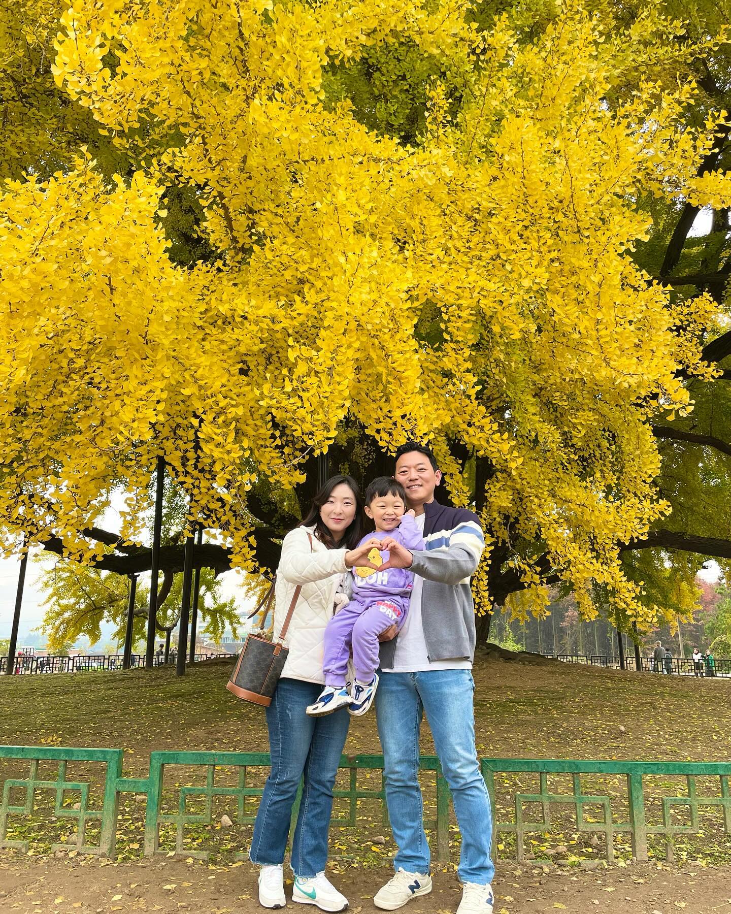 .
노오오오란 은행나무보러 출동
세상에나 이렇게 큰 은행나무일줄
너무너무 예쁘다💛💛