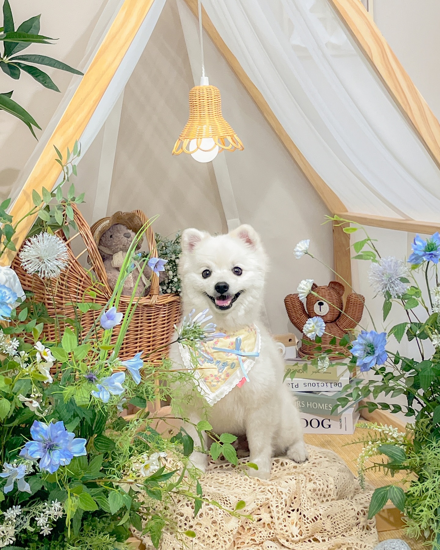 #이벤트당첨 #마이메이 #mymay 

핫플 갈 때 꼭 챙겨가는 마이메이 스카프&빕💕
#초코앤멜로우 여름 포토존이랑도 넘 찰떡🥰
