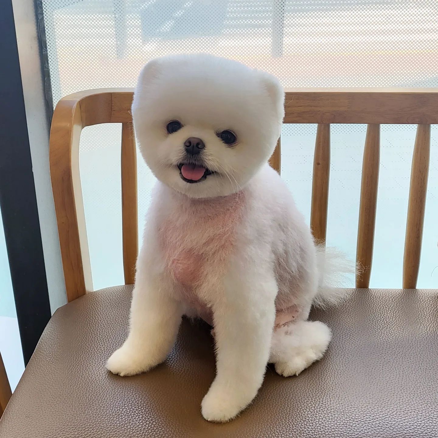 첫 곰돌이컷 🤍