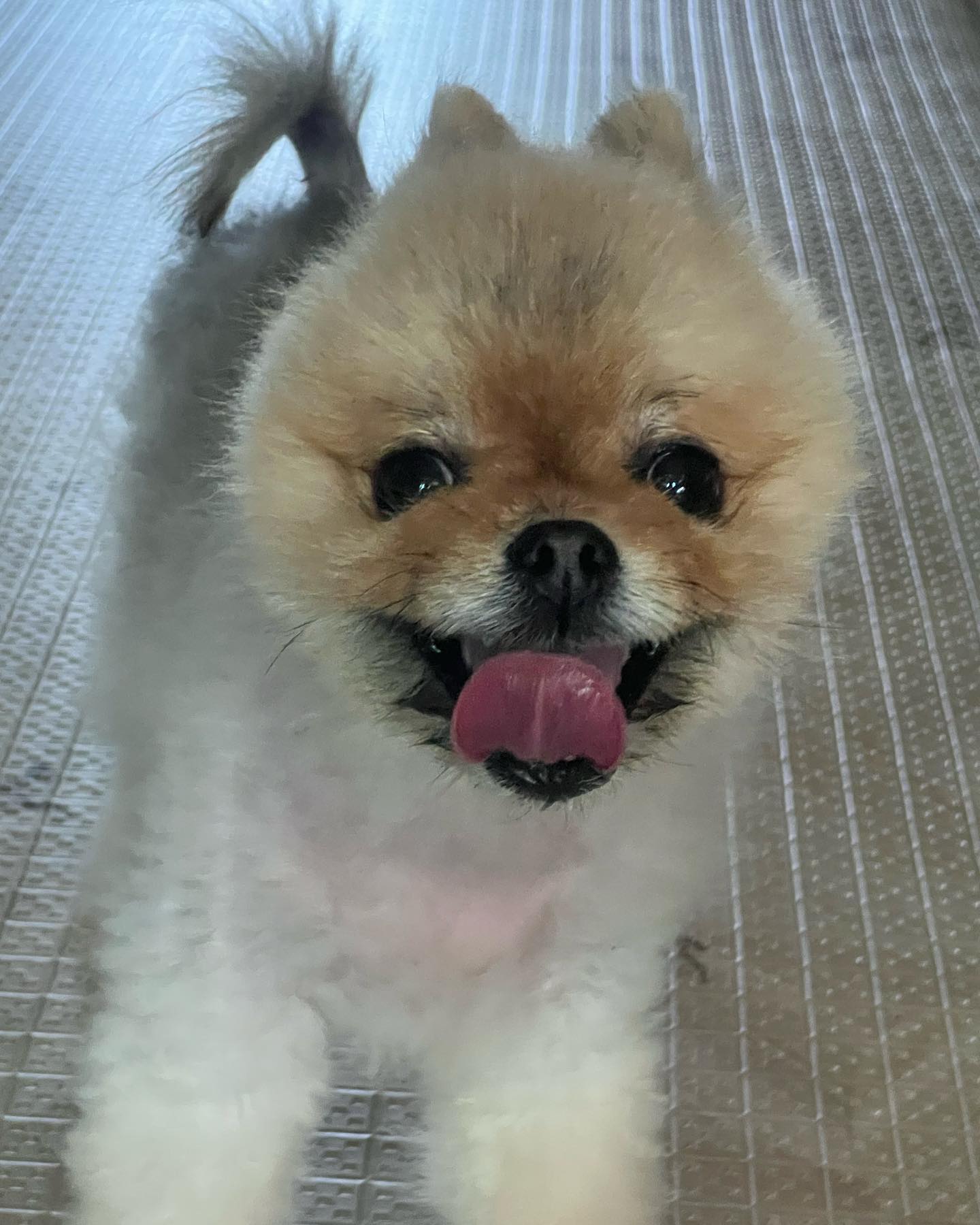 내가 바로 이구역에 맑눈광이다!!!!