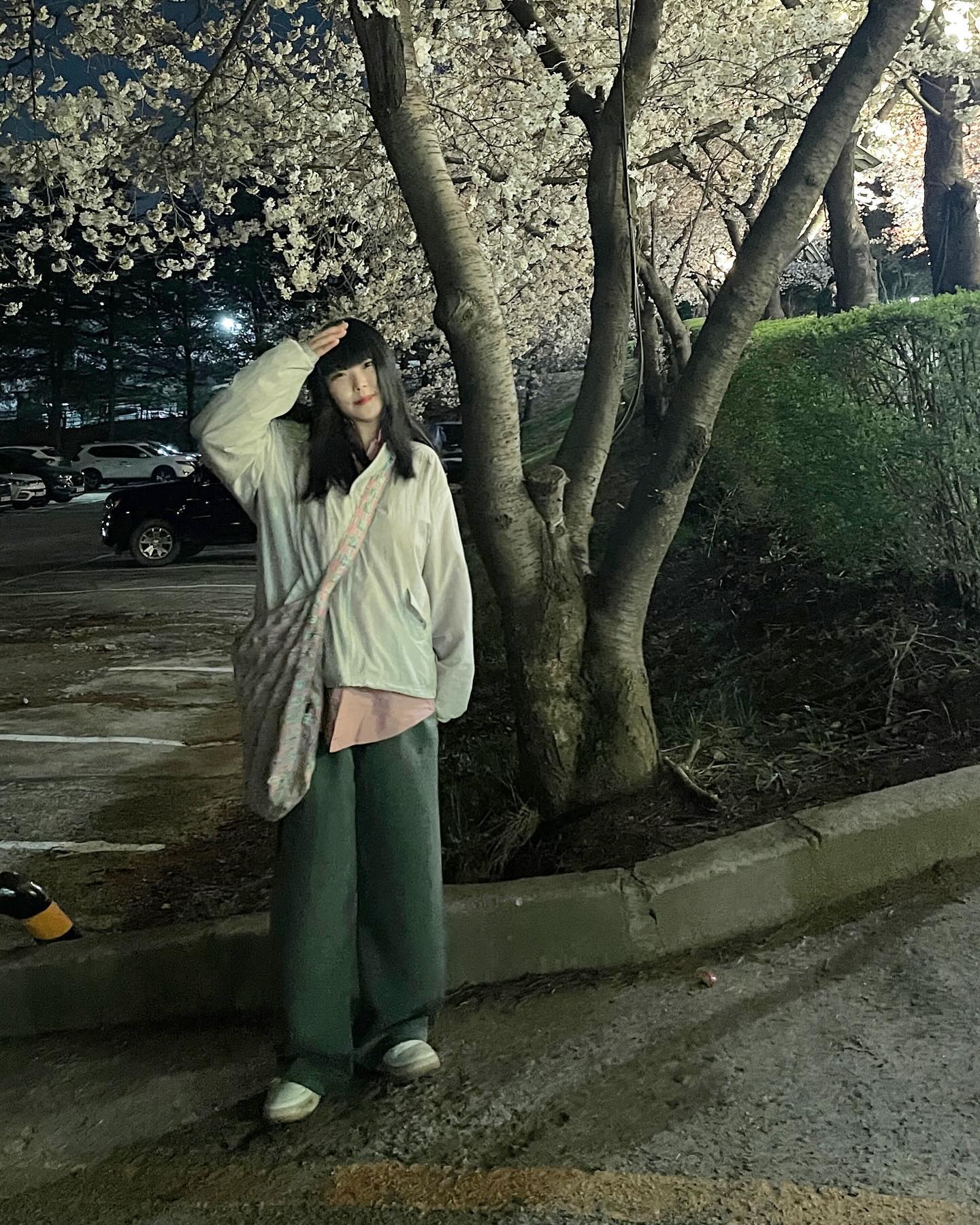 밤벚꽃* ✩‧₊˚* ✩‧₊