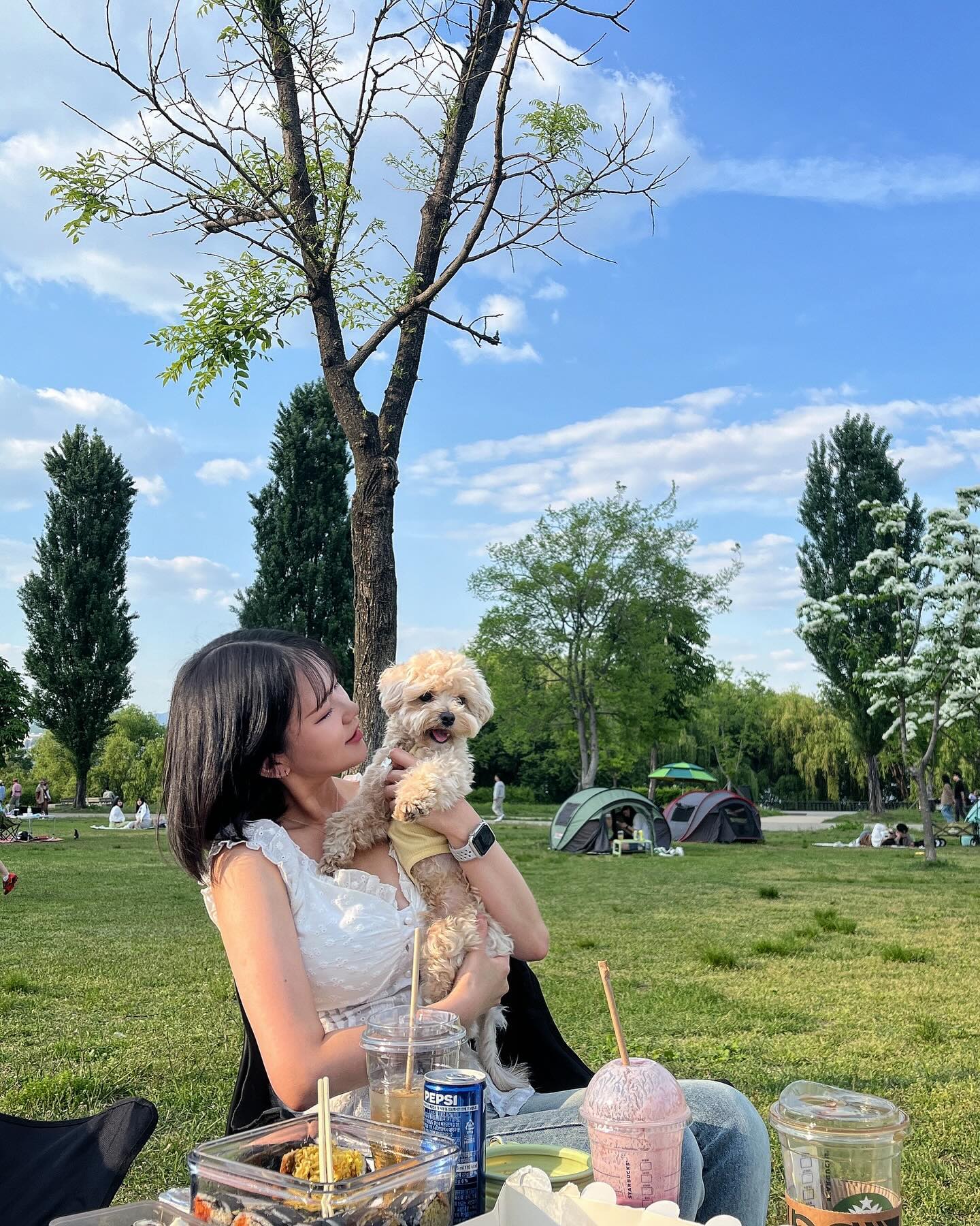 ㅤㅤㅤㅤ⠀
초여름 한강 나들이