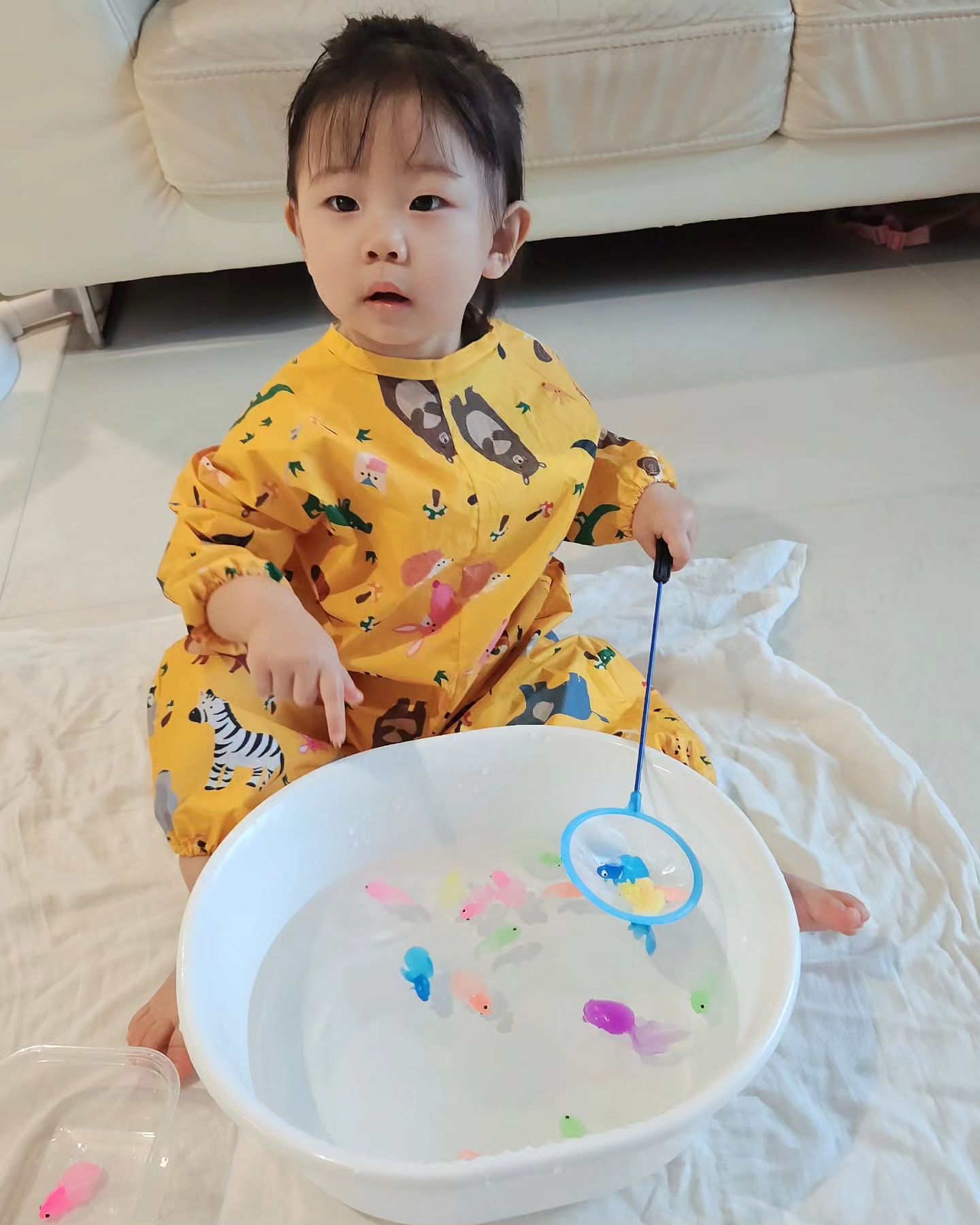 내사랑 지유랑 홈문센😆😆
금붕어 낚시 놀이

#홈문센 #14개월아기#아기랑놀기 #놀이 #현실육아 #아기놀아주기#14개월아기놀이 #낚시놀이