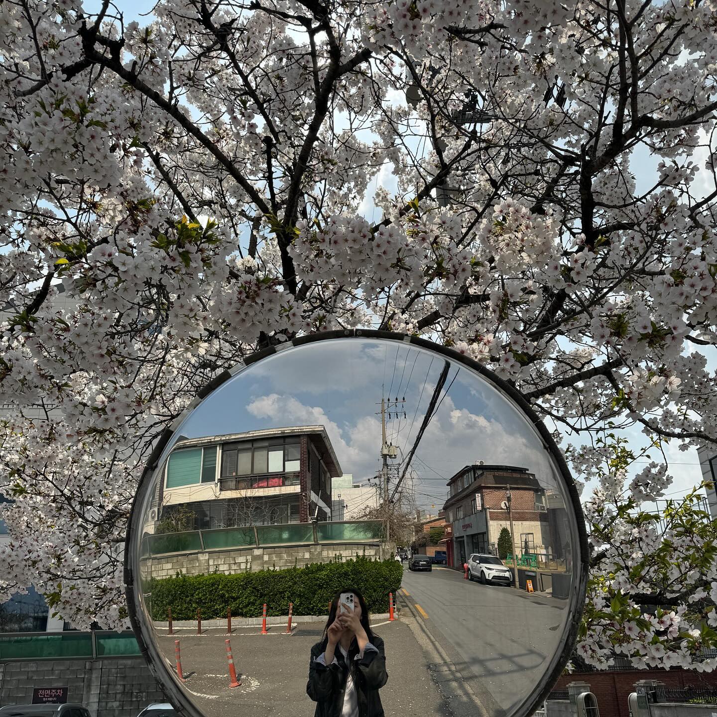 🌸👷🏼🌼🌸