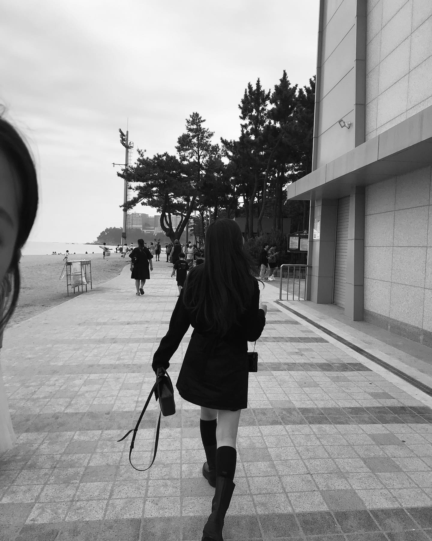 콘텐츠
