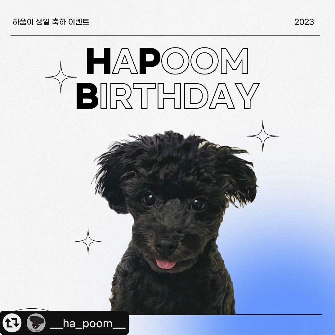 #리그램 - __ha_poom__ by get_multi_repost
내 친구들을 위한 𝐞𝐯𝐞𝐧𝐭 - ♥

누나랑 형아가 받은 사랑 보답하고자! 이벤트를 준비했대!

첫 이벤트지만! 진심 꾹 꾹 담아ෆ
하품이가 직접 입고 먹고 쓰는걸로 담아 보았오!! 

💌 이벤트 선물
1등 pluffydays_official uv protection t (1명)
2등 arrr_official 야채덴탈껌 대용량 (1명)
3등 ziwipets_korea 사슴정강이 s (1명)
4등 mor.e__studio 댕굴댕굴 (2명)

💌 참여 기간
2023년 04월 28일 금요일 오전 10시 까지

💌 당첨 발표
2023년 04월 29일 토요일 오후 7시 예정

💌 참여 방법
₁. __ha_poom__ 팔로우 하기!
₂. 지금 보고 있는 이벤트 게시물 좋아요 누르기!
₃. 본 게시물의 첫번째 페이지 리그램 or 캡쳐 후 
 게시글 또는 스토리 업로드 (하품이 태그 꼭! 달아주세요)
₄. 본 게시물에 '참여완료' 댓글 남기기 ( 친구 소환시 + 1 )

+

₁. 기존 친구들 참여시 +1
₂. 이벤트 기간시 매일 스토리 리그램 하는 친구 하루에 +1
₃. 생일파티 게시물 좋아요 + 댓글 달아준 고마운 친구들 +1

⛧기존 친구들도 참여시에만 적용됨!
⛧이벤트 당첨 후기 가능한 친구들만 참여부탁해! (간단히도 가능!)

#하품이 #새치푸들 #하품이이벤트 #사랑해하푸미 #하품이많관부