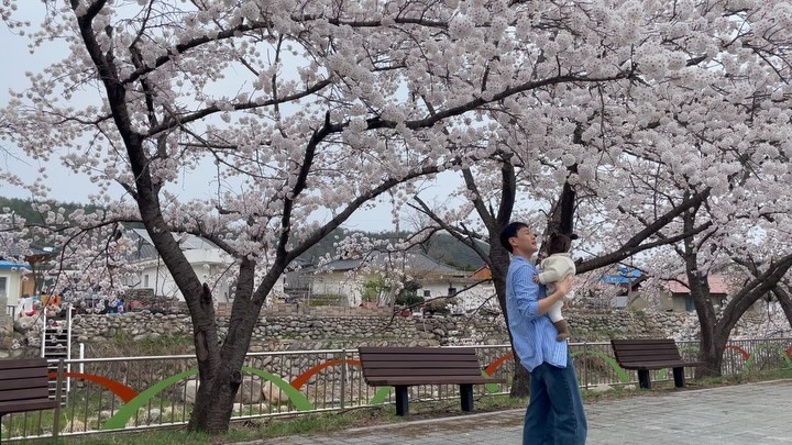 230411 D+260
정말 영화 같은 장소, 매년 봄에 여기로 오자 ! 🌸

#벚꽃 #봄놀이 #아기랑여행 #8개월아기 
#𝐭𝐚𝐞𝐫𝐢_𝐟𝐢𝐥𝐦 #𝐭𝐚𝐞𝐫𝐢_𝐃𝐚𝐲 #주댕티동태리