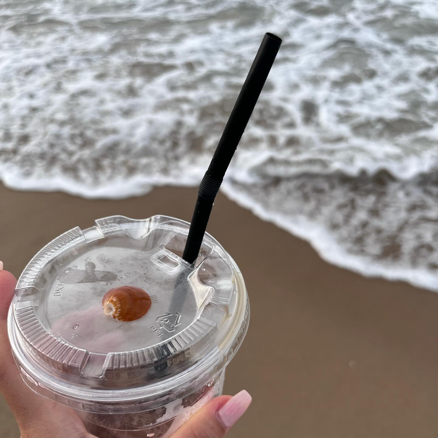 다리에 휴가기록하기🐚