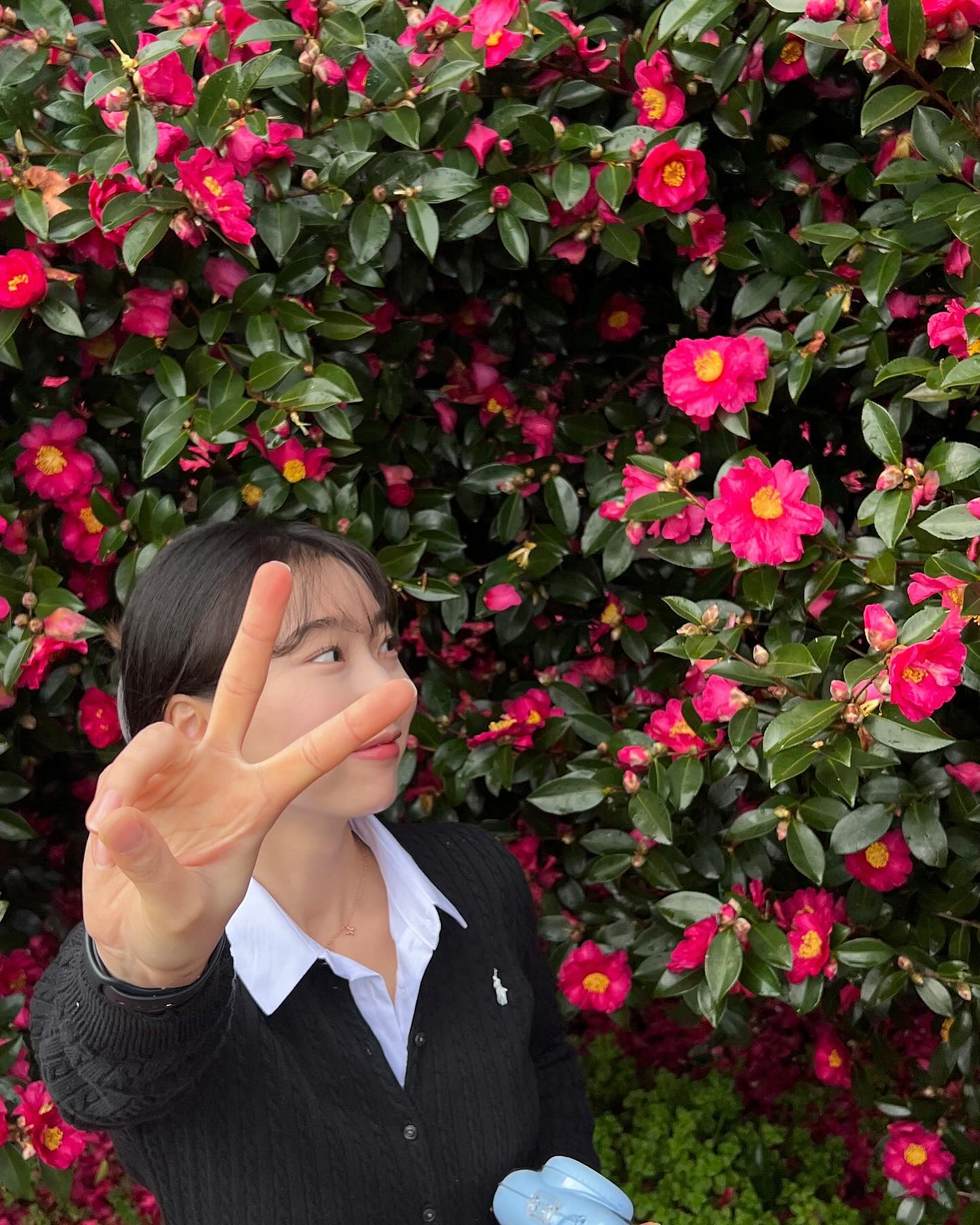 동백꽃 활짝🌺