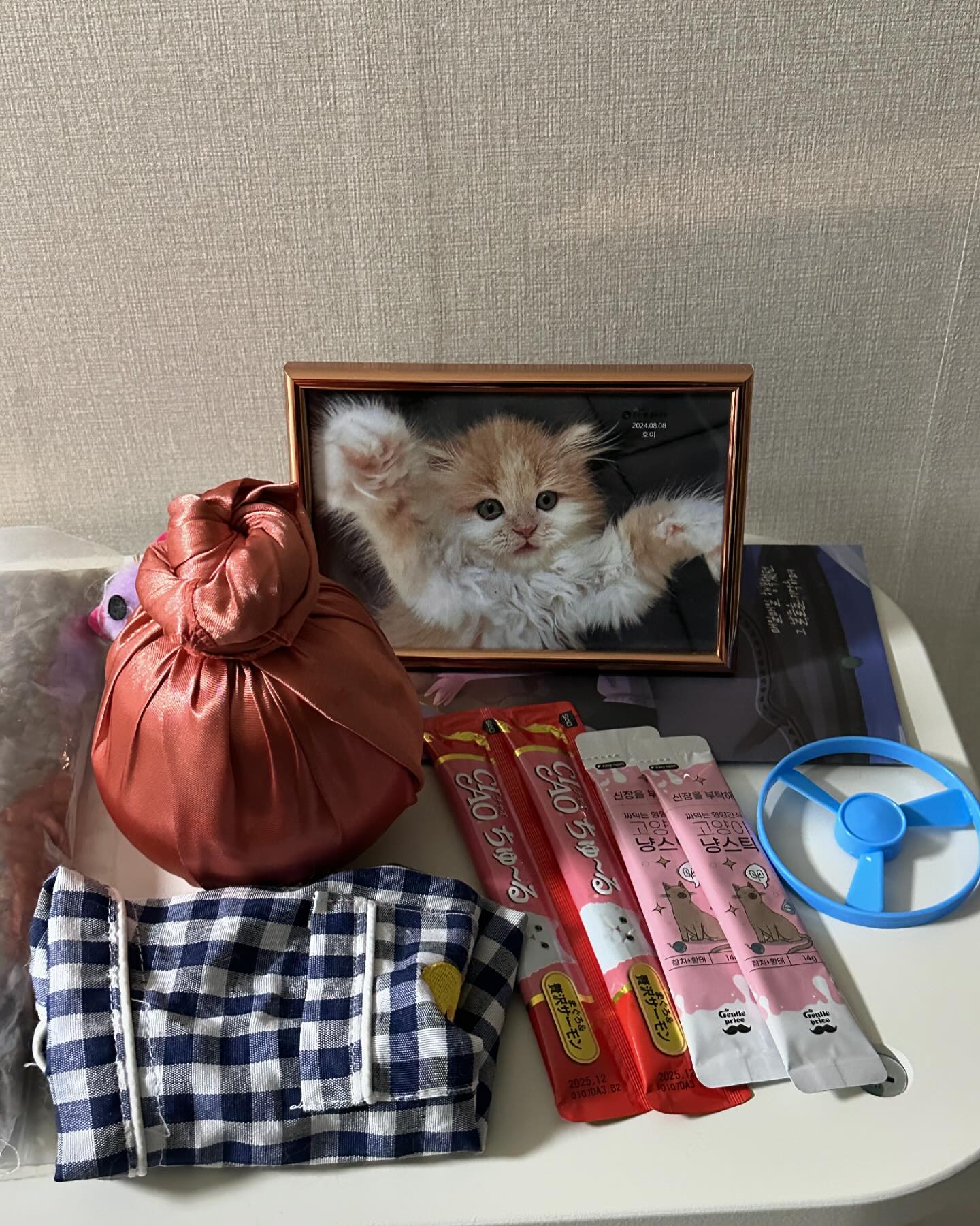 24.08.08 호이 고양이별 🌈
귀여운 우리 아기 고양이 호이야 우리집에 처음 왔을때가 5월 28일인데 아직 3개월도 못봤는데 먼저 가버린건지 엄마는 너무 슬프다 너를 처음 만났을때 너무 작아서 어떻게 해야할지 만지면 부서질까 애지중지하면서 키웠는데 이렇게 떠나 보내니까 너무 마음이 아파 호이 너는 아픈데 하나 없던 아가였는데 어디서부터 잘못된건지 모르겠어 되돌아보면 호이한테 잘 못해준것같고 맛있는것도 못주고 후회하는게 너무 많아 그냥 호이야 너가 너무 보고싶고 그립고 지금 이상황이 다 거짓말이라고 해줬으면 좋겠어 고양이별에서는 너가 더 행복하고 맛있는것도 많이 먹고 잘 지냈으면 좋겠어 엄마 꿈에도 나와서 같이 놀았으면 좋겠고 지금도 너무 보고싶거든 호이가 우리한테 와줘서 너무 좋았고 행복했어 다음에도 우리한테 꼭 와줬으면 좋겠다 그땐 호이한테 더 잘해주고 더 예뻐해줄게 사랑해 호이야 보고싶을거야