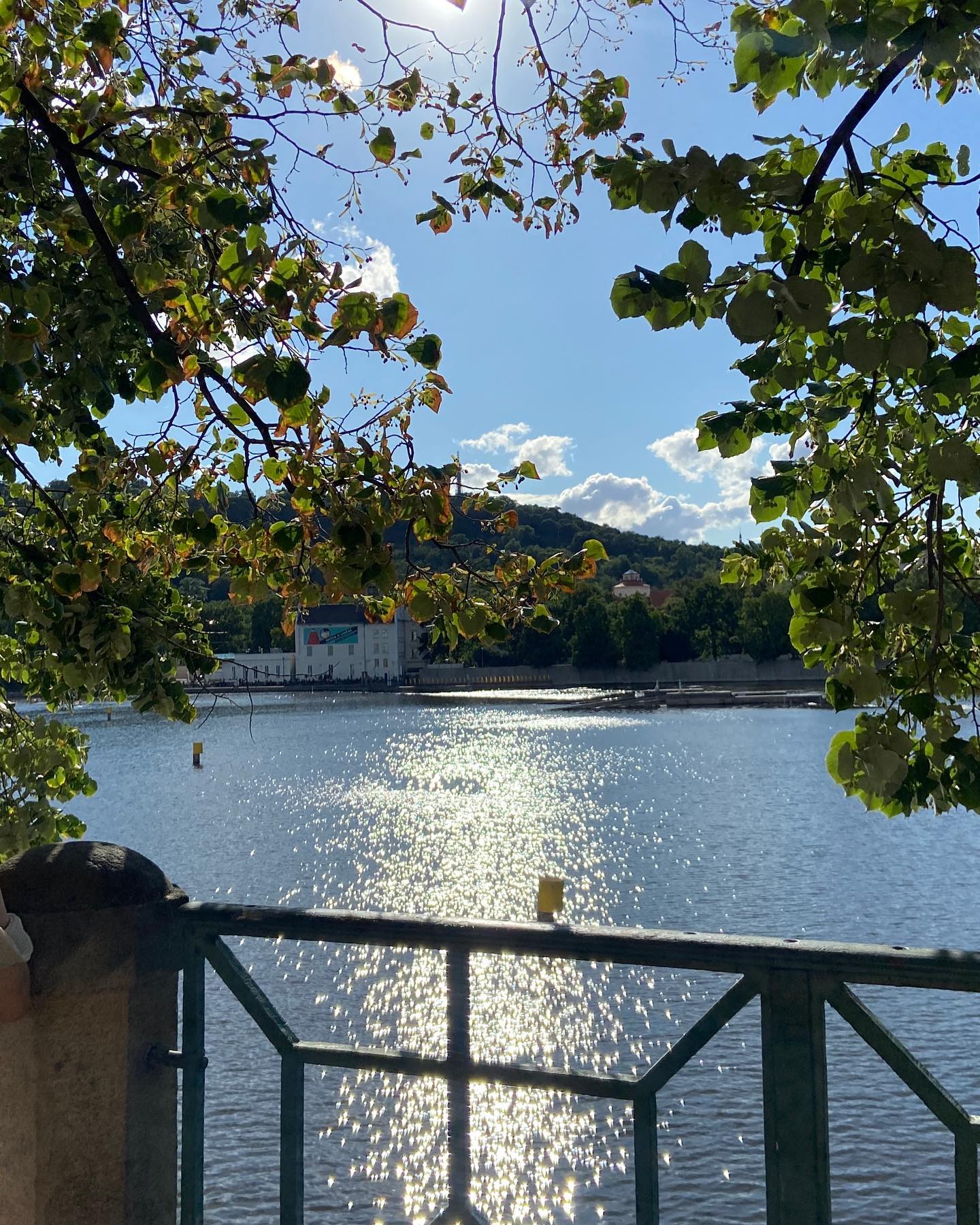 백조 목 꺾이는 거 보고 소리지르는 웅니…
하여튼 웃기다니깐,,~

#praha