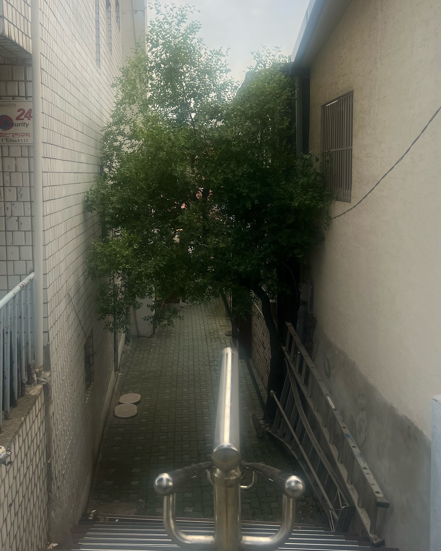 콘텐츠