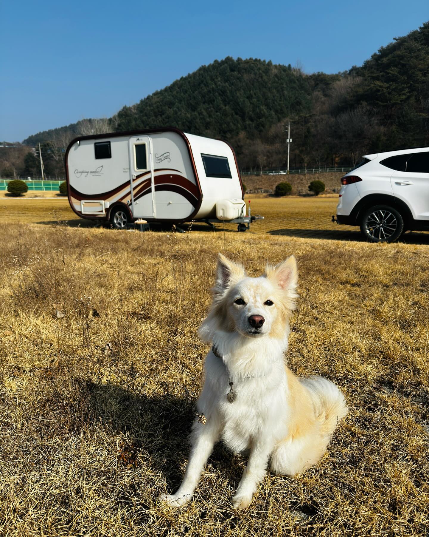오랜만에 끌고나왔다🐶