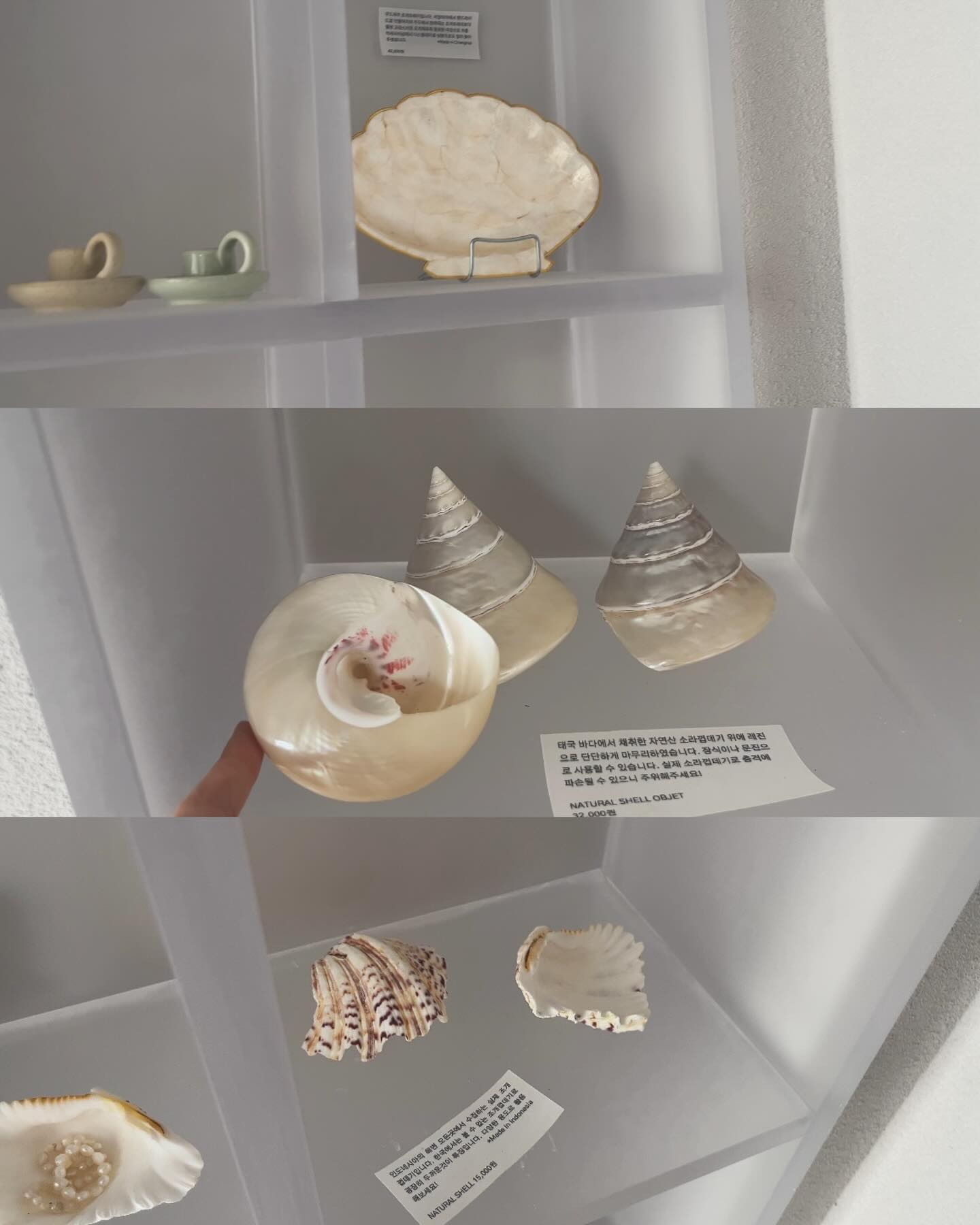 🐚껍데기 우리집으로