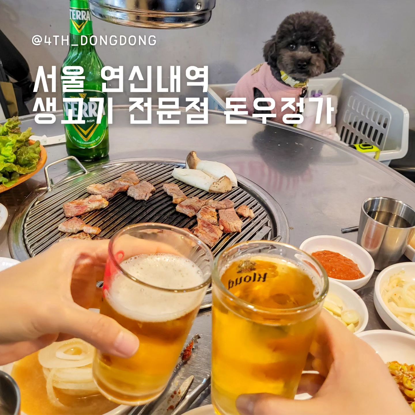 #돈우정가 donwoojungga
#연신내맛집추천 #연신내고기집 #연신내애견동반

오랜만이다. 이렇게나 기본기가 탄탄한 고기집❤️
이런 곳은 잘 되어야 한다❤️

🥄한줄평 : 기본기가 탄탄한 고기 맛집 🤤

🔸️고기가 맛있고 종류가 다양한 [돈우정가]
고기집은 당연히 고기가 맛있어야겠죠 🤤
돈우정가는 신선한 생고기라 맛도 좋은데 숯에 구워서 더 맛있어요 🤗
모둠으로 다양한 종류의 고기도 맛볼 수 있어 너무 좋아요!

🔸️기본기가 탄탄한 [돈우정가]
기본기가 탄탄하다는 말이 어울리는 돈우정가 😍
밑반찬 하나하나 다 맛있고(저 김치 안 먹는데 김치도 맛있어서 먹음)
상추까지 신선하고 깨끗하게 세척되어 있어서 좋았어요. 
특히나 저 돌솥밥 🤤 또 먹고 싶어요!
방금한 밥을 김에 싸서 조개젓이랑 먹으면.. 극락 이미 다녀옴 😂
그리고 된장소면하고 계란찜도 말모말모!

🔸️친절하고 반려견 동반 가능한 [돈우정가]
동동이를 위한 예쁜 바구니를 준비해주셔서
우리 동동이도 편안하게 즐기다 왔다구요~ 😍
너무 친절하고 센스 넘치는 사장님 덕분에 즐겁게 먹고 왔어요!

🍽돈우정가
📍서울시 은평구 연서로26길 18
⏰️월~일 11:00~01:00(1, 3번째 일요일 정기휴무)
📝반려견 동반 가능

#연신내애견동반식당 #애견동반가능고기집  #연신내삼겹살 #연신내고깃집 #연신내고기맛집 #연신내회식 #연신내밥집