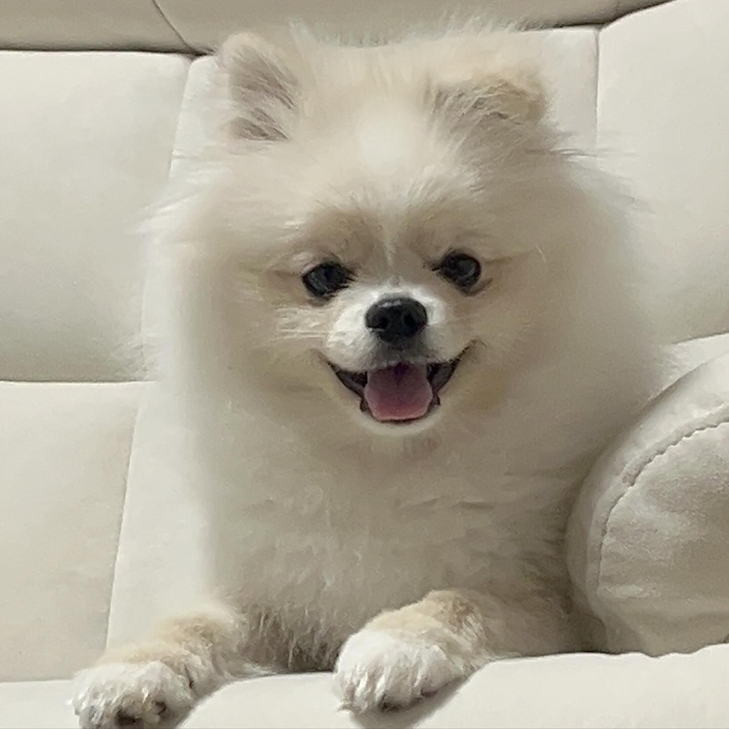 안녕하세요 인생 6개월차 장 망 치 인사드립니다 저 기엽져?!👉🏻👈🏻