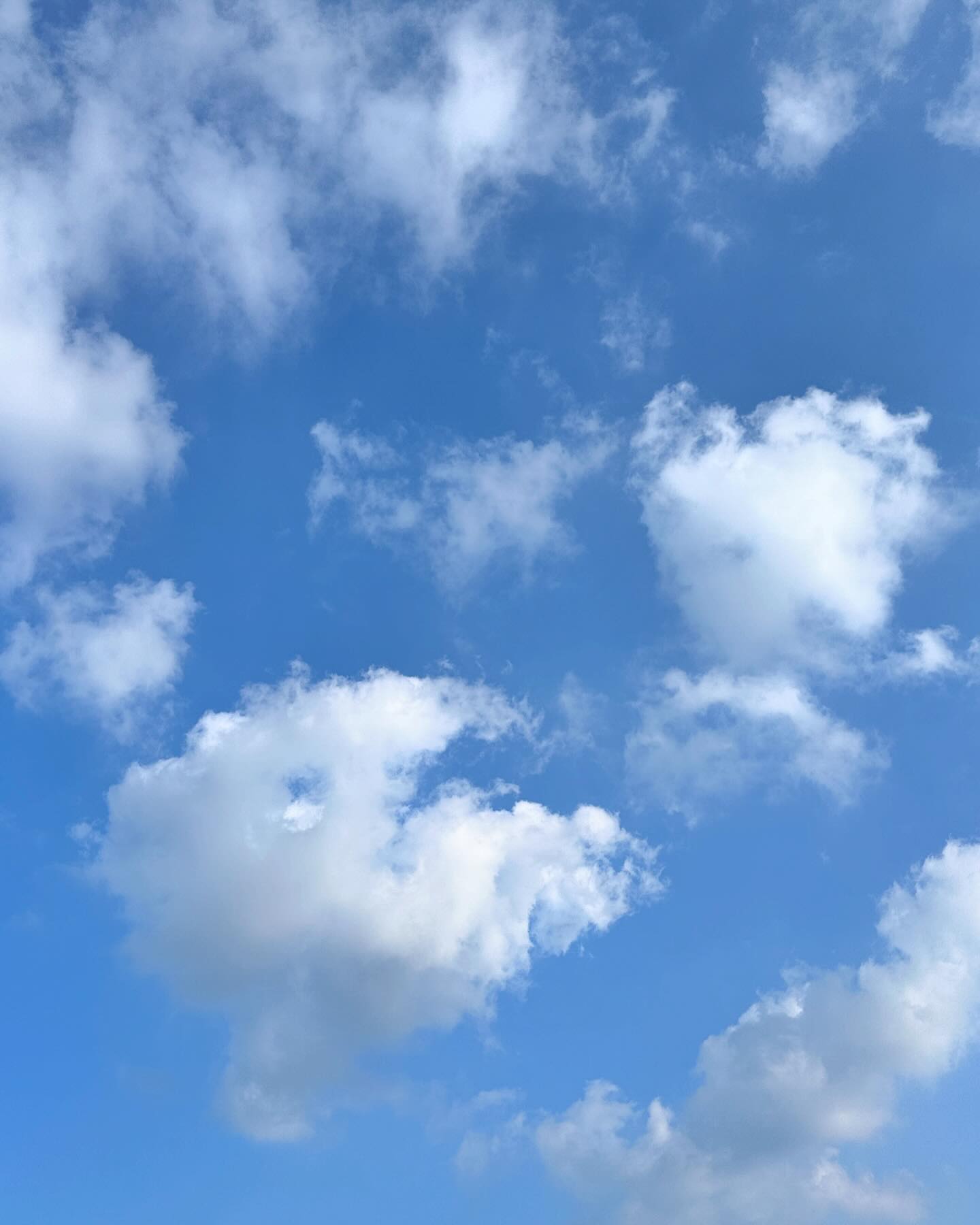 구르미🩵