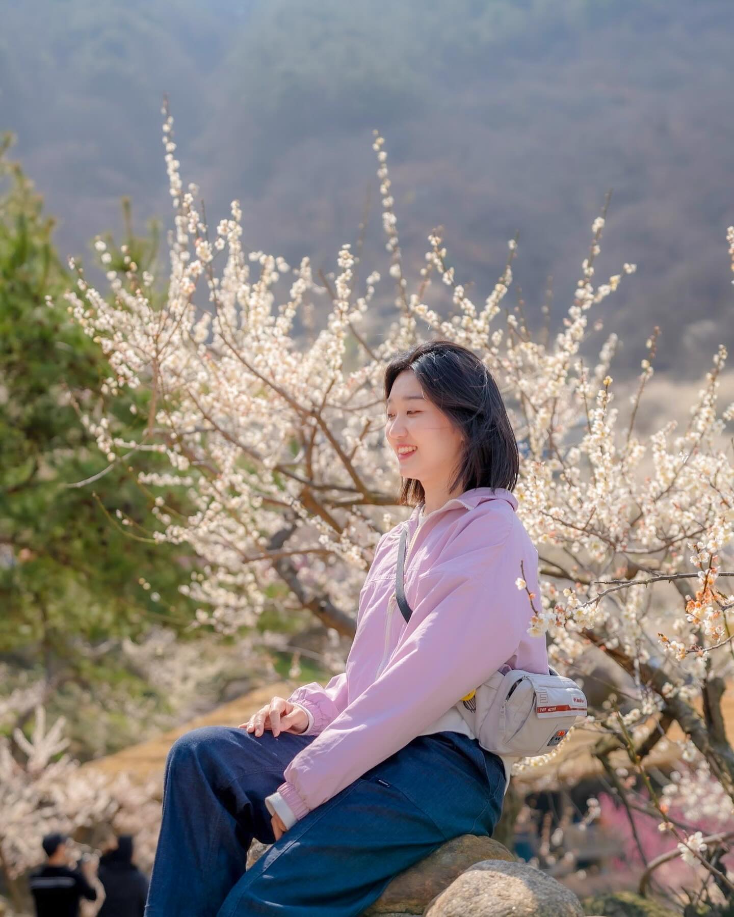 여러분 드디어 봄이에요…🌸
별거 아닌 일들에도 설레이는 봄☺️🎶

무려 11년 만에 다시 찾은 #광양매화마을 🤍
날씨도 너무 따뜻하고 같이 간 사람들도 좋아서
마냥 행복한 시간 잔뜩 보내고 돌아왔습니다🫶🏻

맘에 드는 사진이 너무 많아서 인스타 인생 처음으로
피드 줄을 맞춰보려고 해요🤭 (=피드가 3개!)
과연 이 중 제 원픽 사진은 무엇일지,, 두구두구!🌝

-
🌸 광양매화마을
🚌 swtour_official 
🗓️ 2024. 3. 17. 
🍦 매실 아이스크림 꼭꼭 드세요! 너무 맛있으니까😋
🍚 밥은 초입말고, 매화마을 한참 올라가다 나오는 식당에서 드시면 매화나무 바로 아래에서 식사할 수 있어요💕
🍯 매화축제 5,000원짜리 입장권을 구매하시면, 왼쪽 분홍색 종이는 찢어서 회수하고 오른쪽 하늘색 종이는 매화축제상품권(5,000원 상당)으로 현금처럼 바로 사용하실 수 있어요! 저는 식당에서 사용했고, 차액만 추가로 결제했답니다! (먼저 가서 입장권 사서 기다려주시는 승우 가이드님은… 천사에요…🪽)

-
#달달_등산 #달달_여행 #매화 #매화축제 
#광양매화마을 #광양매화축제 #승우여행사