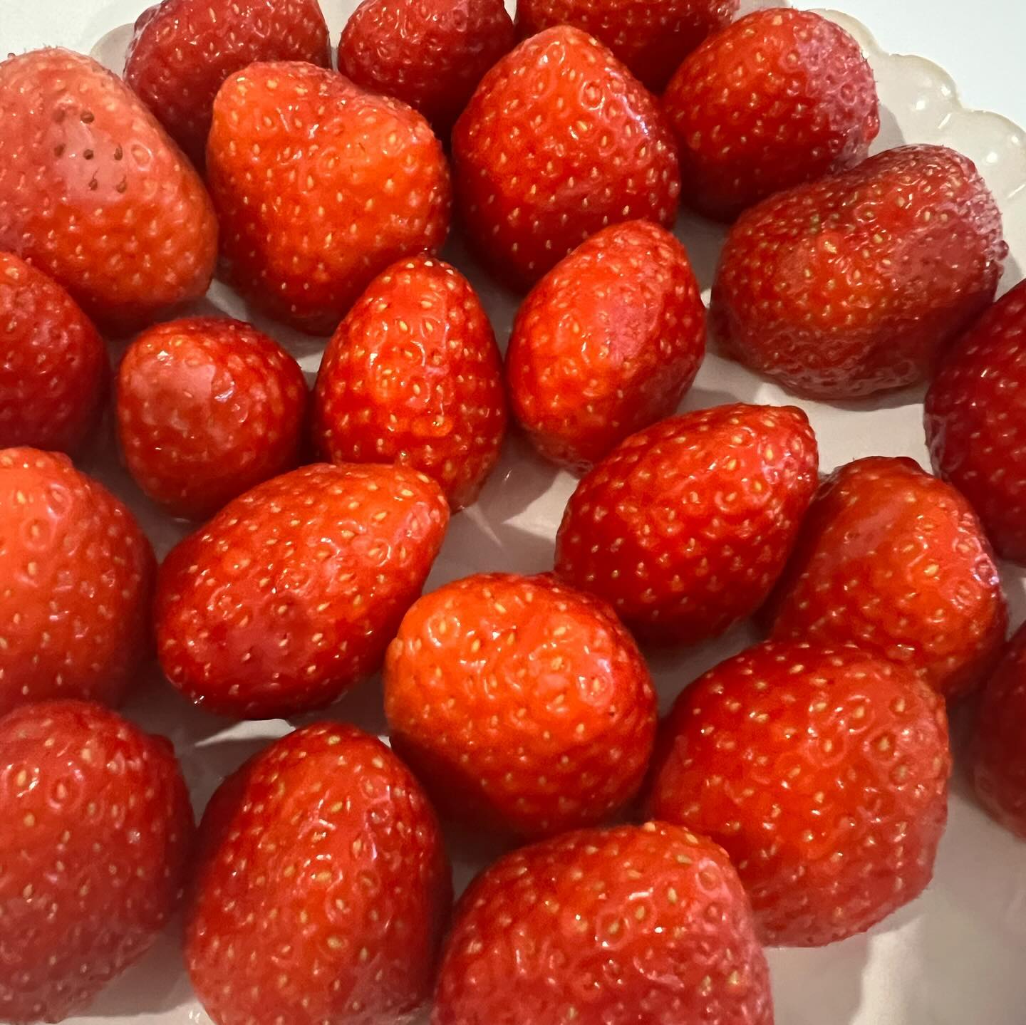 제 태몽이 딸기여서 최애도 딸기인데요🍓

우리 똑똑이 최애 과일도 딸기인가봐요☺️ 
매일매일 딸기를 찾아서 먹고있어요!ㅎㅎ

하지만 딸기가격이 완전 ⬆️⬆️
전 걱정없어요!한달 부가수익으로만  요렇게 벌었거든용?☺️

엔잡러하면서 걱정없이 사는 삶🫧
부럽지않으세요? 🤭

전 매일 이렇게 벌고있는 사람들을 보면서 ‘아..나랑은 다른사람이다’라는 생각을 많이했어요! 하지만 그게 아니였어요❌❌

남들도 하는거 왜 내가 못해? 라고 생각하며 열심히 노력한 결과!
우리가족을 위해 제 2의 직장을 시작했고 성공했답니다!🤭🤭

궁금하면 언제든지 #프로필하단오픈채팅 으로 문의주세요!!🩵
