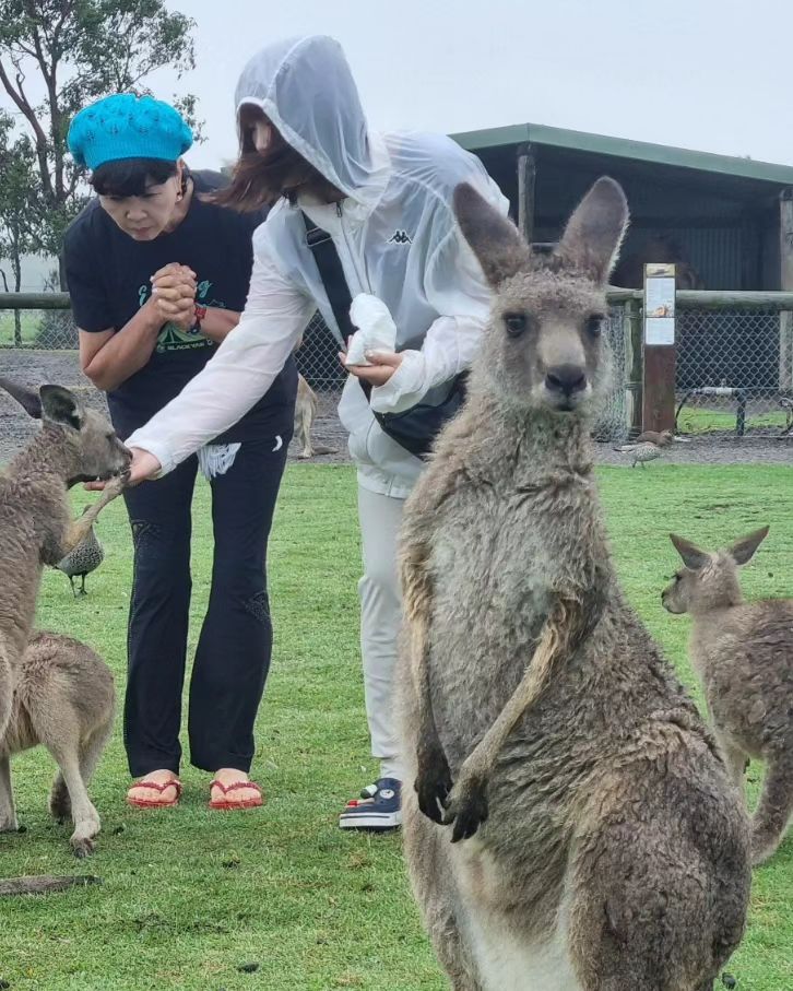 시드니🇦🇺 내 손 잡고 먹다니..🥹
캥거루 코알라에 빠졌어 사랑스럽🩷

#시드니여행 #모녀여행 #세계여행 #캥거루
#코알라 #캥거루먹이주기 #코알라만져보기🐨🐨🐨