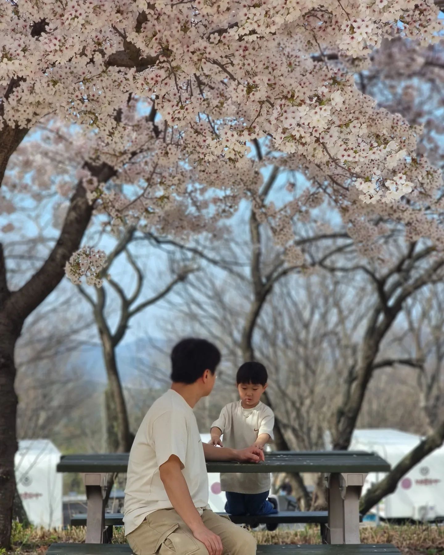 🌸올해 벚꽃 다 봤다🌸

날씨도 좋고, 미세먼지도 좋음!
급 떠난 나들이 아주 성공적💓

#가산수피아벚꽃 #가산수피아 #대구벚꽃명소
#벚꽃포토존 #대구근교아이랑가볼만한곳