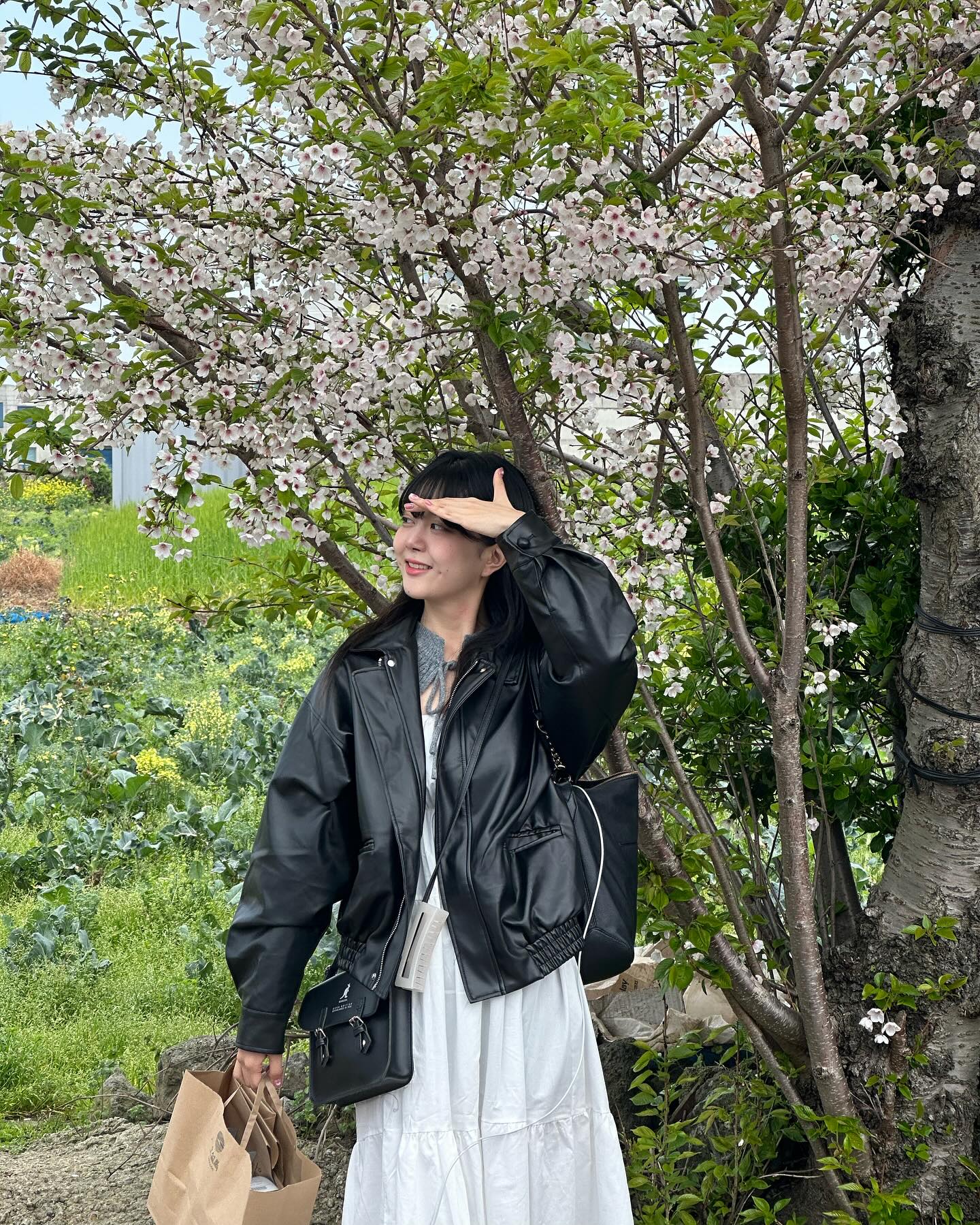 #벚꽃 #🌸 #桜