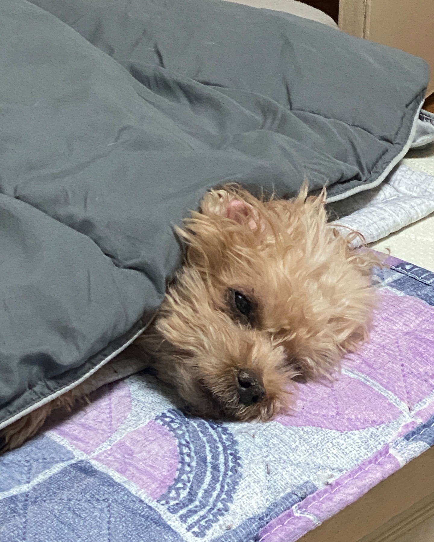 굿나잇💙